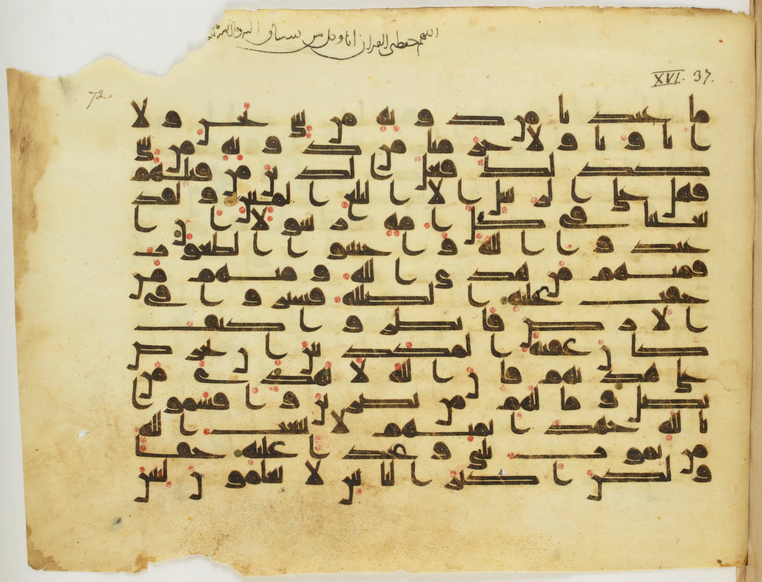 Paris, Bibliothèque nationale de France, Arabe 337 (d), in Kūfī D.I script, showing Surah 16:35 from 8th to 9th Century AD found in Fustat (Old Cairo), Egypt, currently housed at Bibliothèque nationale de France, Paris