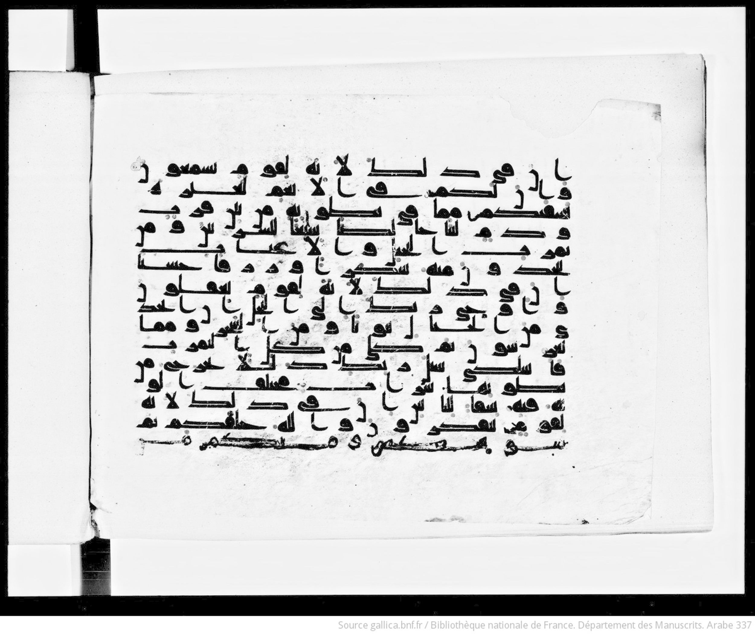 Paris, Bibliothèque nationale de France, Arabe 337 (d), in Kūfī D.I script, showing Surah 16:69 from 8th to 9th Century AD found in Fustat (Old Cairo), Egypt, currently housed at Bibliothèque nationale de France, Paris