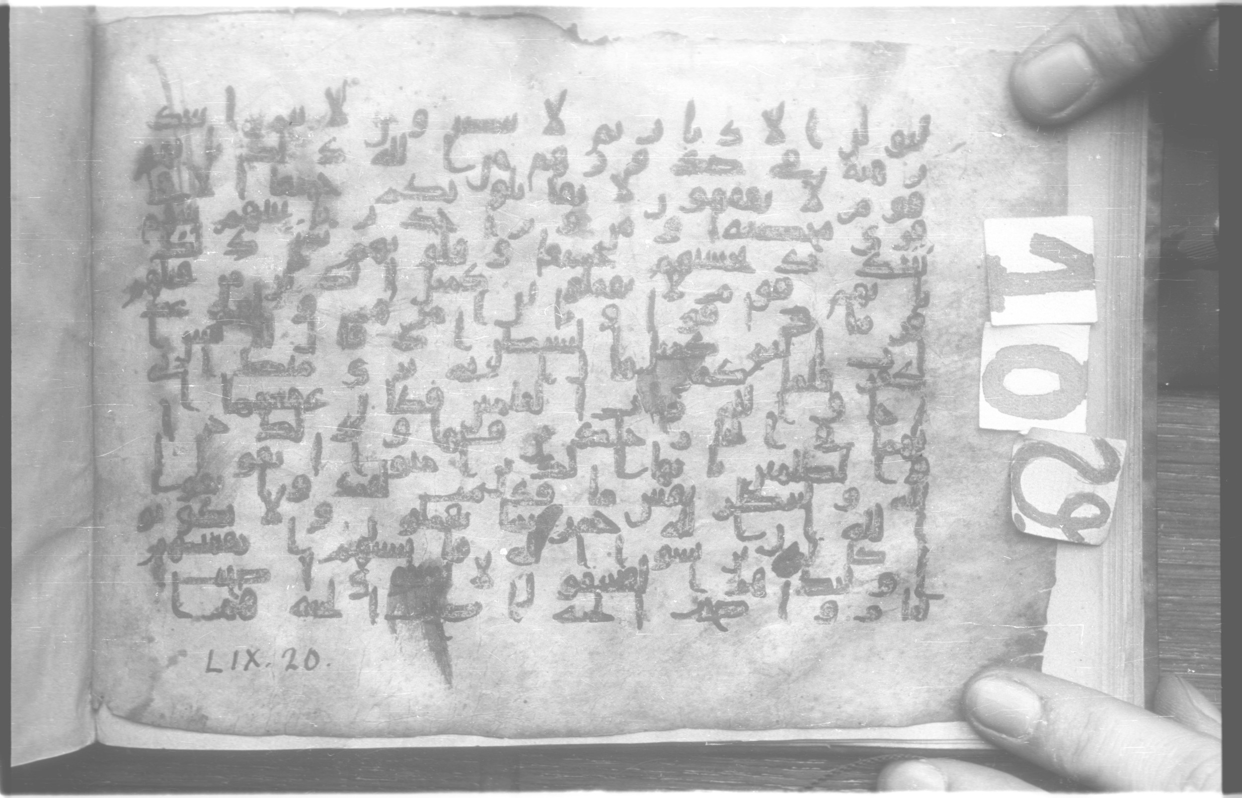 Paris, Bibliothèque nationale de France, Arabe 329 (b) (Scan 2), in Kufic B.II script, showing Surah 59:13 from Mid 8th to Late 9th Century AD found in Fustat (Old Cairo), Egypt, currently housed at Bibliothèque nationale de France, Paris