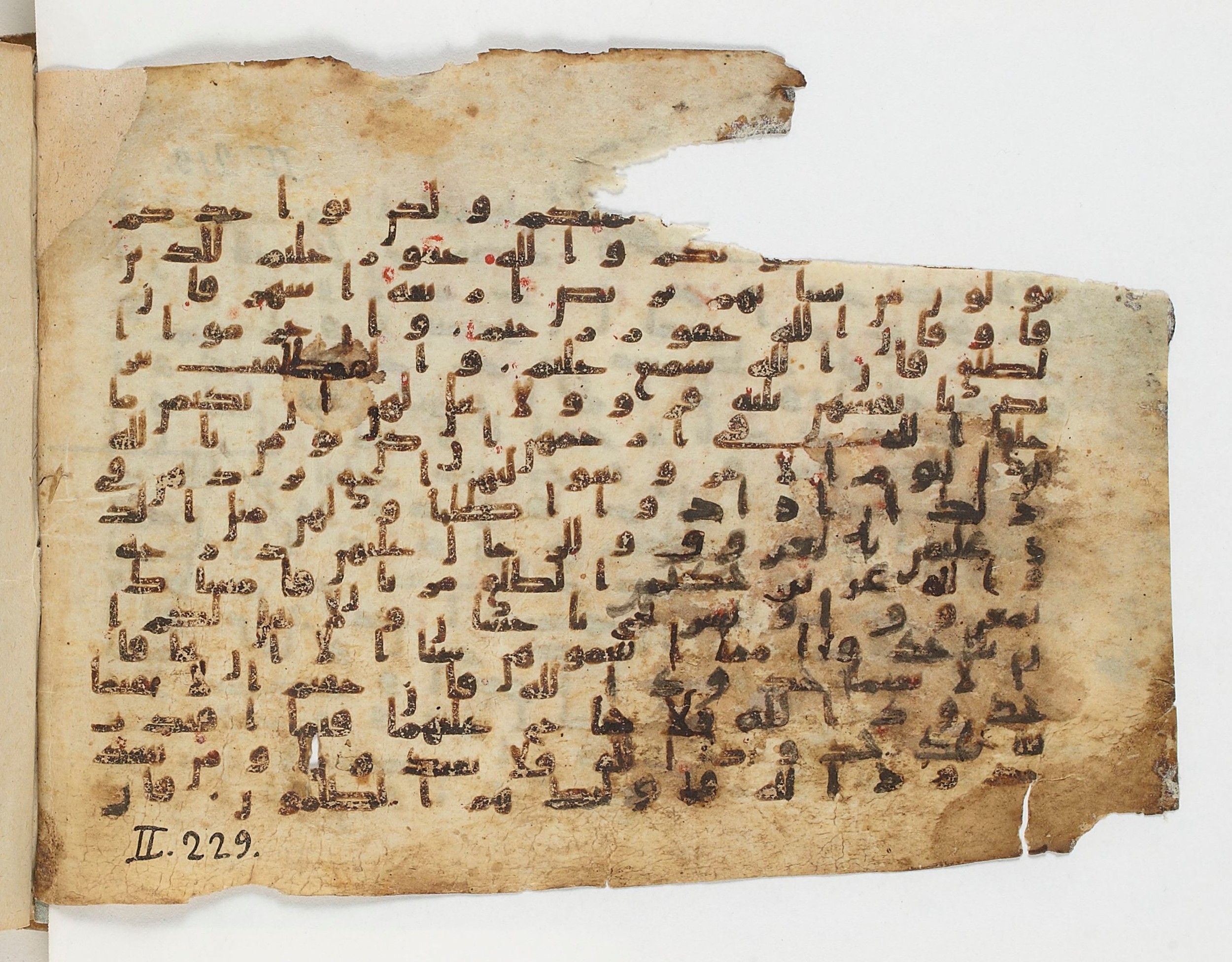 Paris, Bibliothèque nationale de France, Arabe 329 (b) (Scan 1), in Kufic B.II script, showing Surah 2:229 from Mid 8th to Late 9th Century AD found in Fustat (Old Cairo), Egypt, currently housed at Bibliothèque nationale de France, Paris