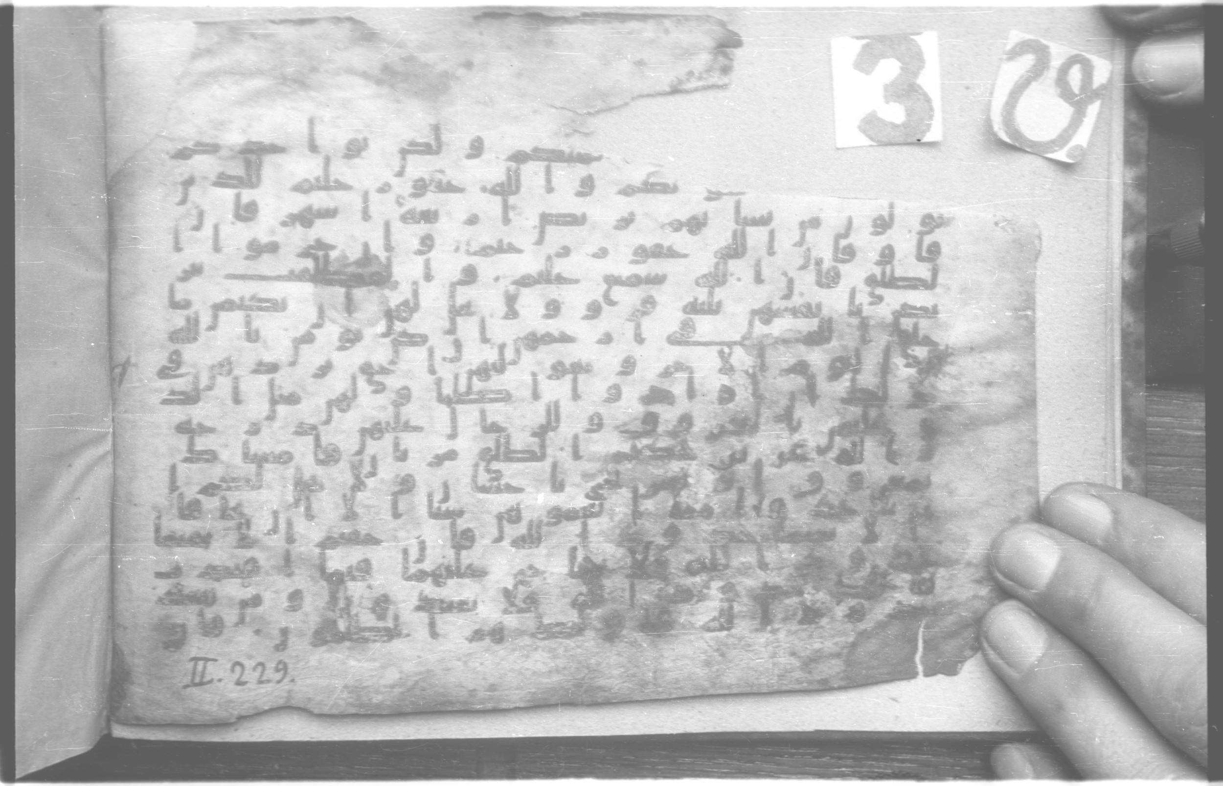 Paris, Bibliothèque nationale de France, Arabe 329 (b) (Scan 2), in Kufic B.II script, showing Surah 2:229 from Mid 8th to Late 9th Century AD found in Fustat (Old Cairo), Egypt, currently housed at Bibliothèque nationale de France, Paris