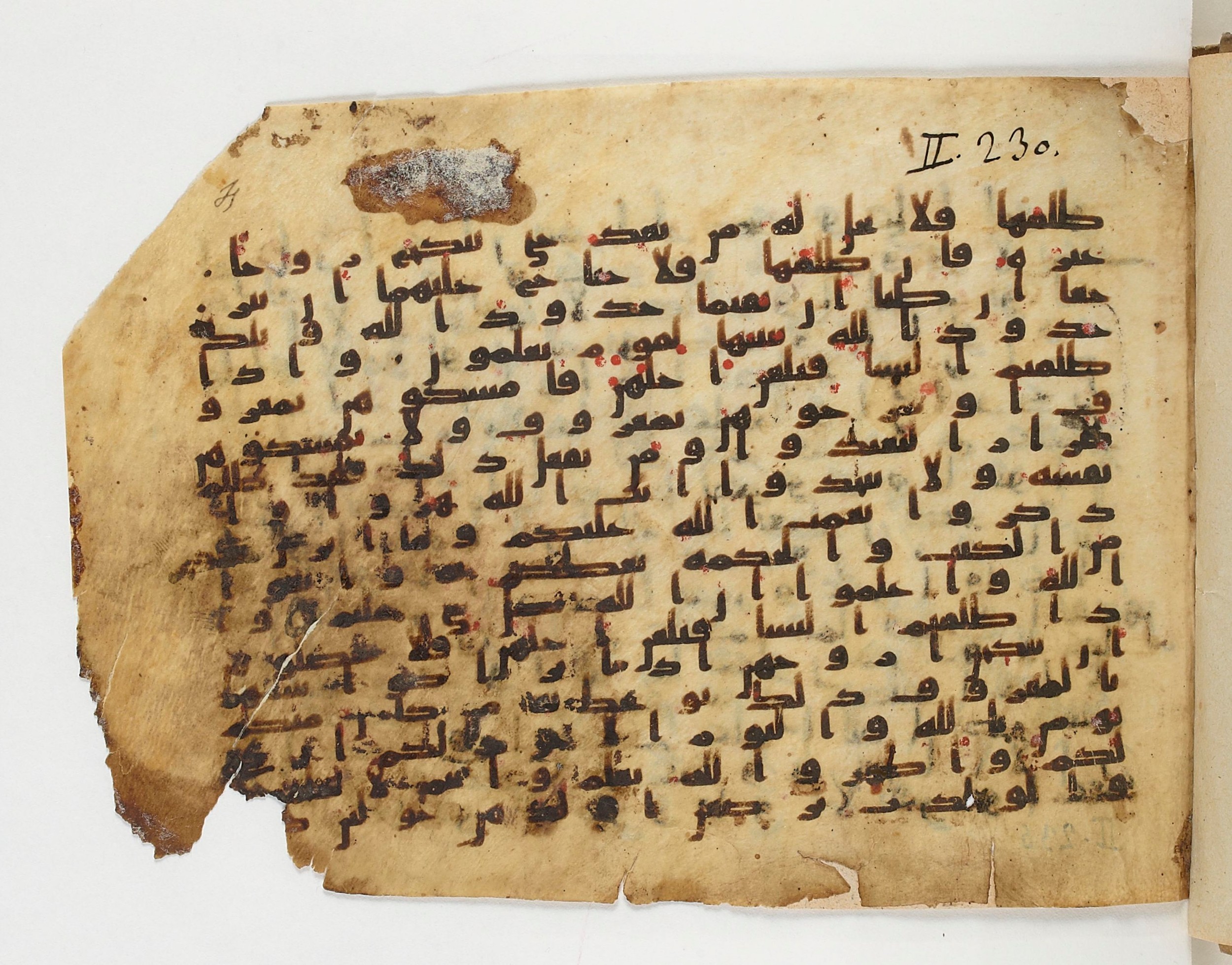 Paris, Bibliothèque nationale de France, Arabe 329 (b) (Scan 1), in Kufic B.II script, showing Surah 2:232 from Mid 8th to Late 9th Century AD found in Fustat (Old Cairo), Egypt, currently housed at Bibliothèque nationale de France, Paris