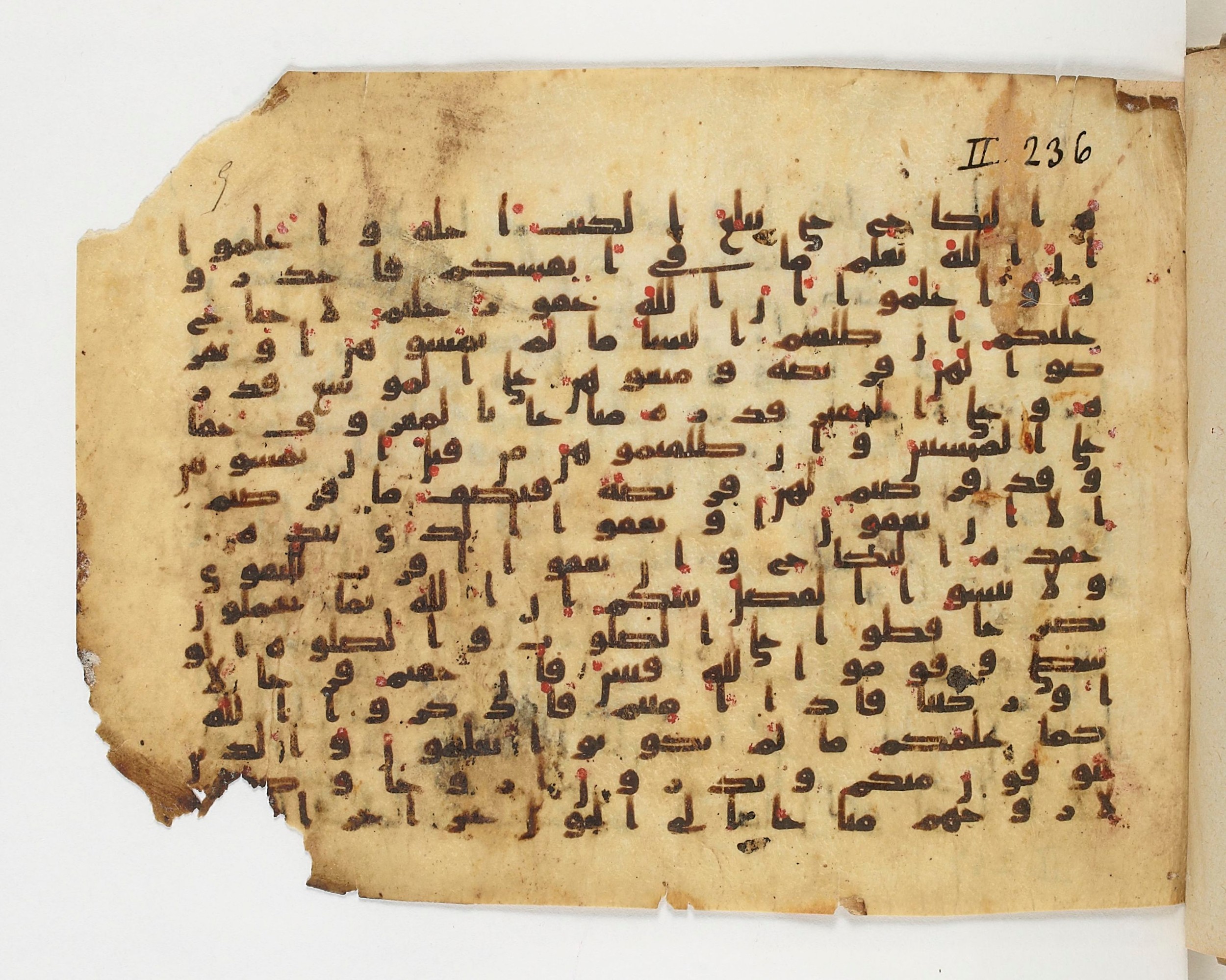 Paris, Bibliothèque nationale de France, Arabe 329 (b) (Scan 1), in Kufic B.II script, showing Surah 2:239 from Mid 8th to Late 9th Century AD found in Fustat (Old Cairo), Egypt, currently housed at Bibliothèque nationale de France, Paris