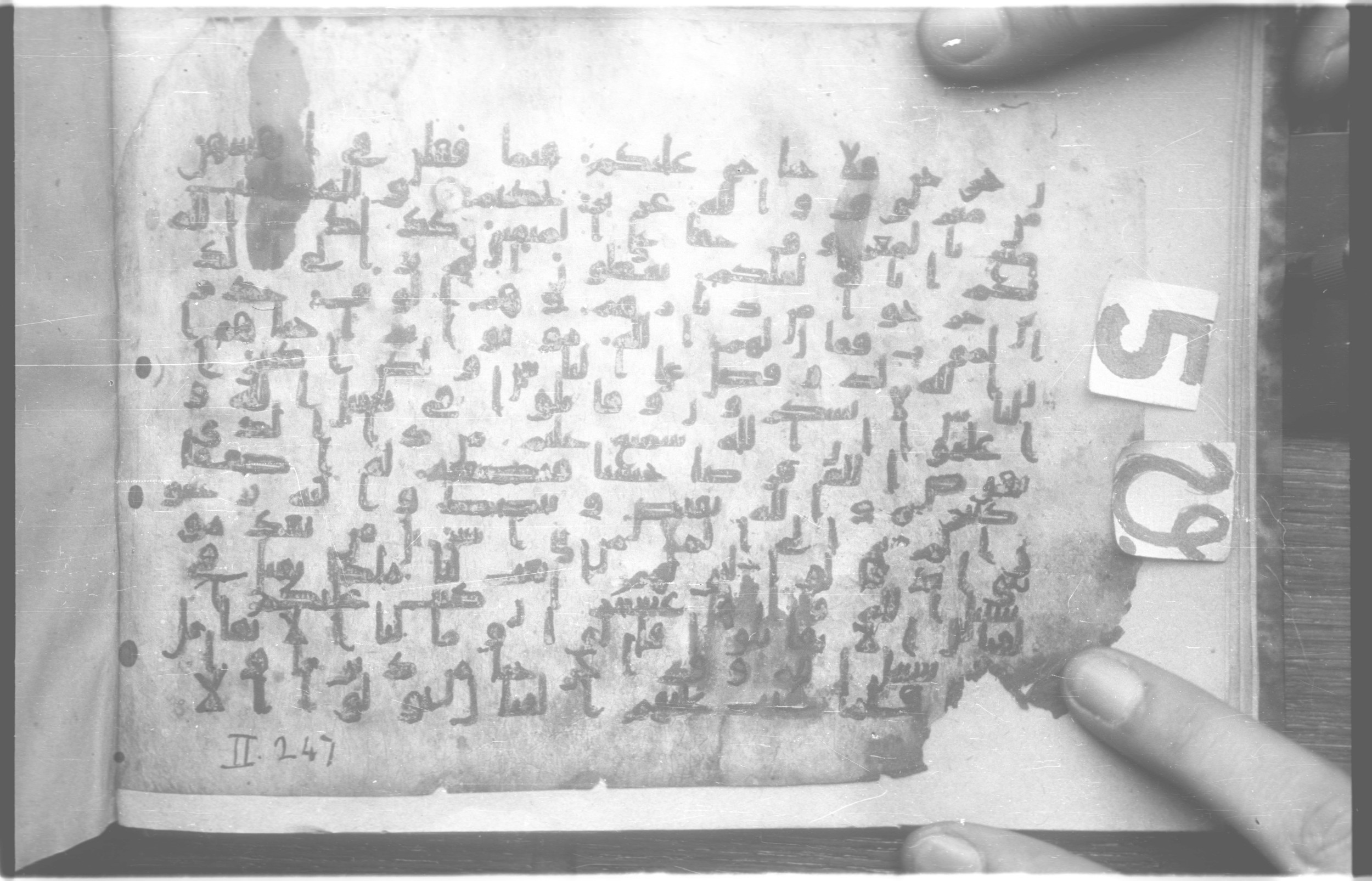 Paris, Bibliothèque nationale de France, Arabe 329 (b) (Scan 2), in Kufic B.II script, showing Surah 2:243 from Mid 8th to Late 9th Century AD found in Fustat (Old Cairo), Egypt, currently housed at Bibliothèque nationale de France, Paris