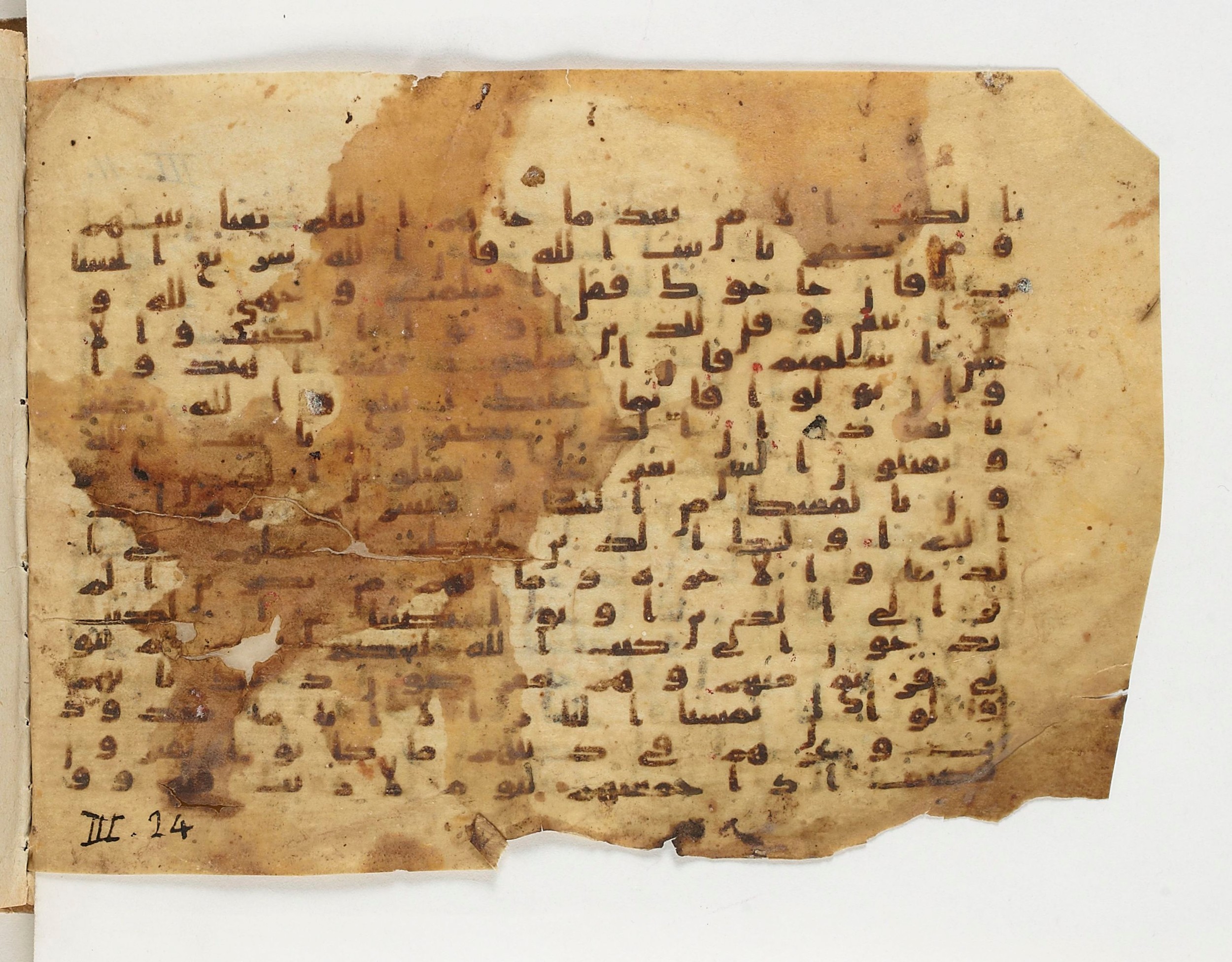 Paris, Bibliothèque nationale de France, Arabe 329 (b) (Scan 1), in Kufic B.II script, showing Surah 3:21 from Mid 8th to Late 9th Century AD found in Fustat (Old Cairo), Egypt, currently housed at Bibliothèque nationale de France, Paris
