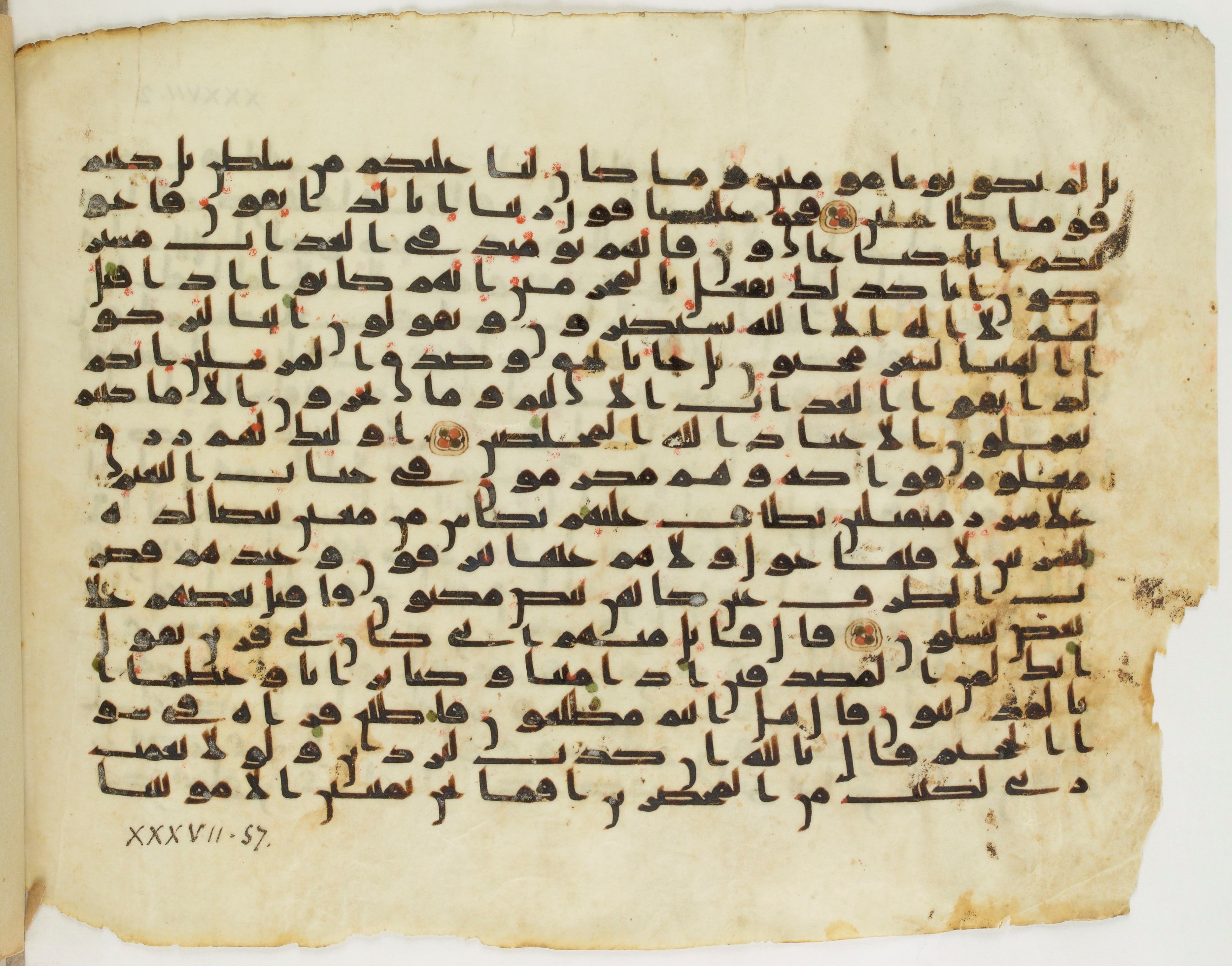 BnF Arabe 333 (d), in Early Kufic (C.III) script, showing Surah 37:49 from Late 8th to 9th Century AD found in Fustat (Old Cairo), Egypt, currently housed at Bibliothèque nationale de France, Paris