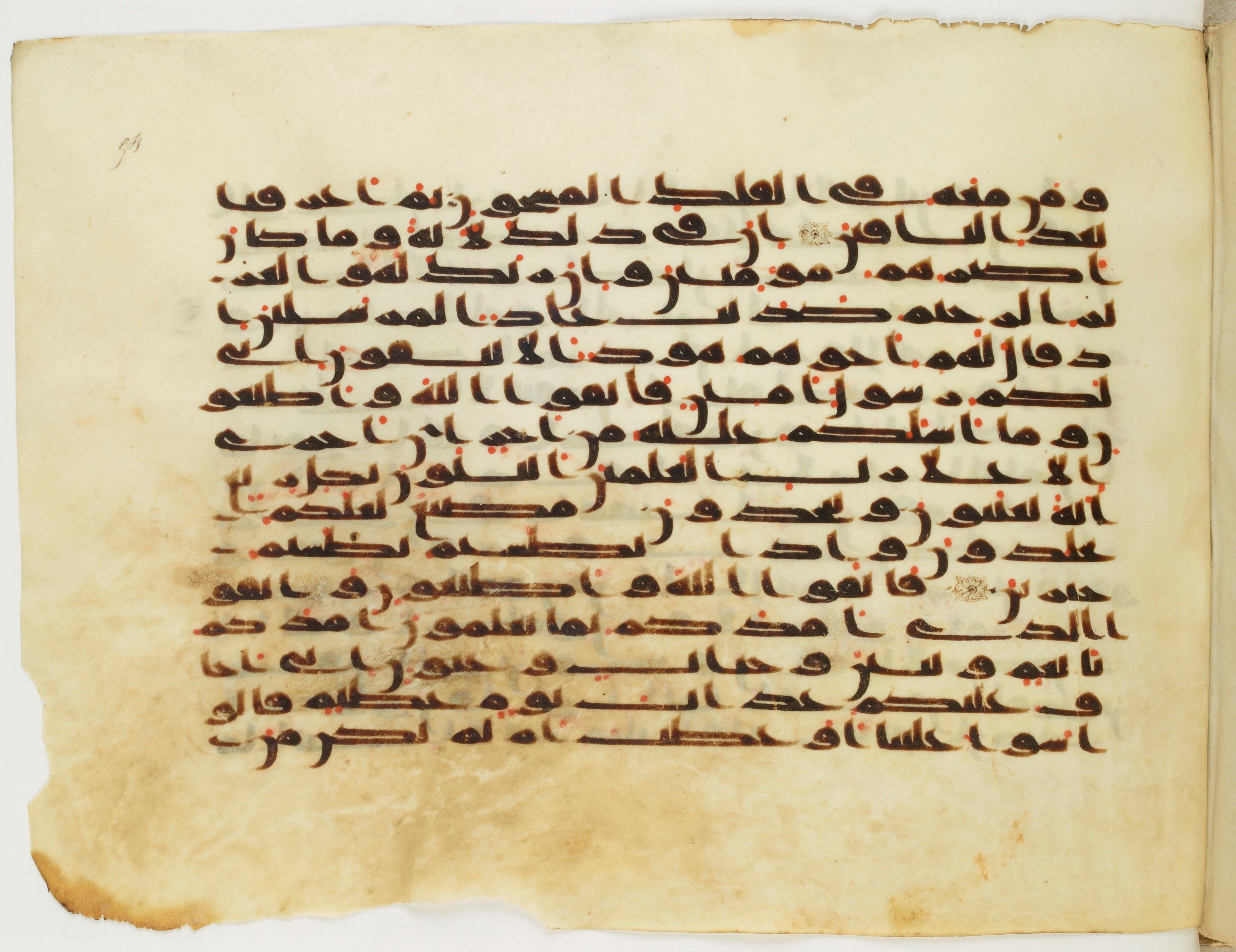 Paris, Bibliothèque nationale de France, Arabe 333 (c) (Scan 1), in Kufic C.III script, showing Surah 26:136 from Late 8th to 9th Century AD found in Fustat (Old Cairo), Egypt, currently housed at Bibliothèque nationale de France, Paris