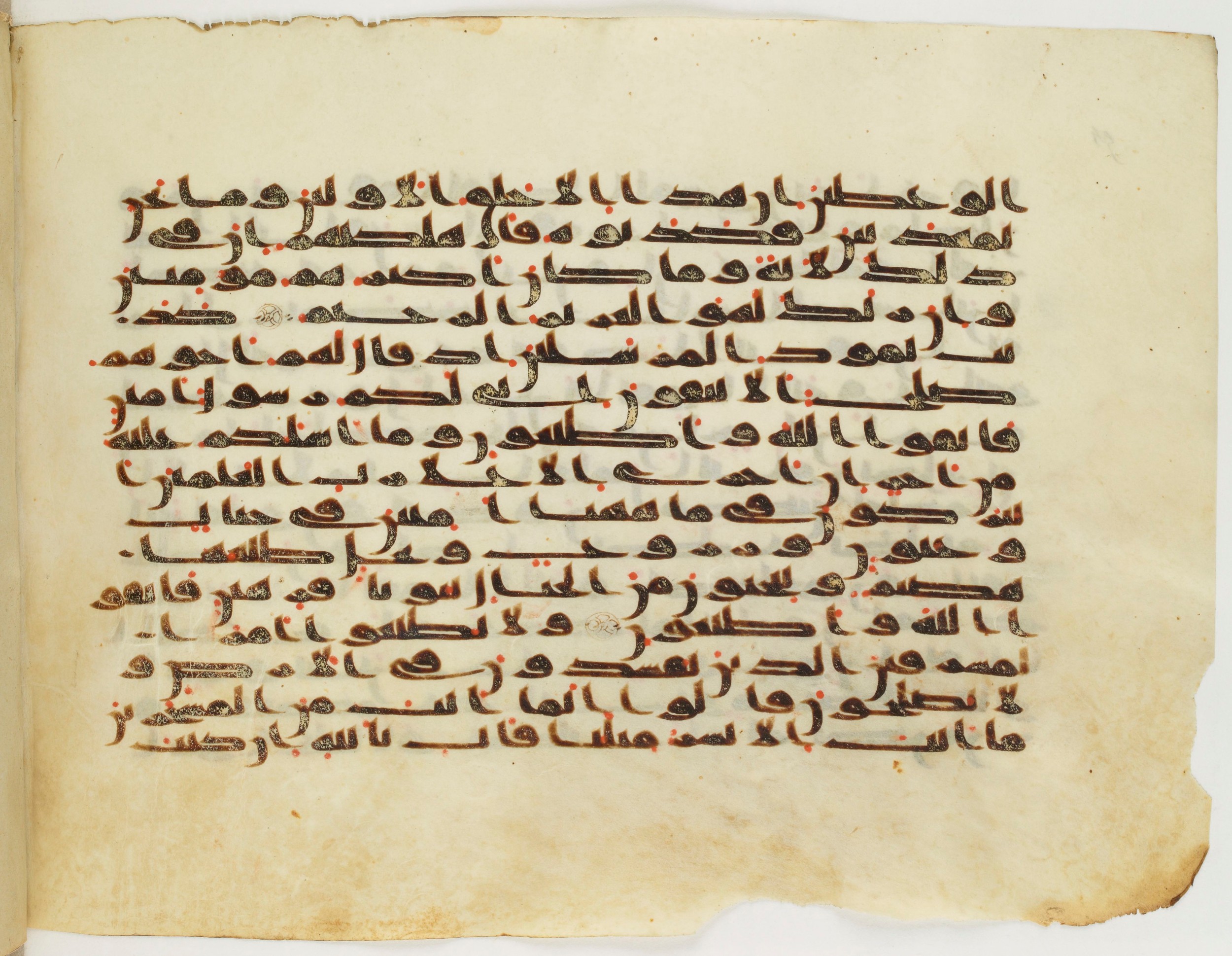 Paris, Bibliothèque nationale de France, Arabe 333 (c) (Scan 2), in Kufic C.III script, showing Surah 26:136 from Late 8th to 9th Century AD found in Fustat (Old Cairo), Egypt, currently housed at Bibliothèque nationale de France, Paris