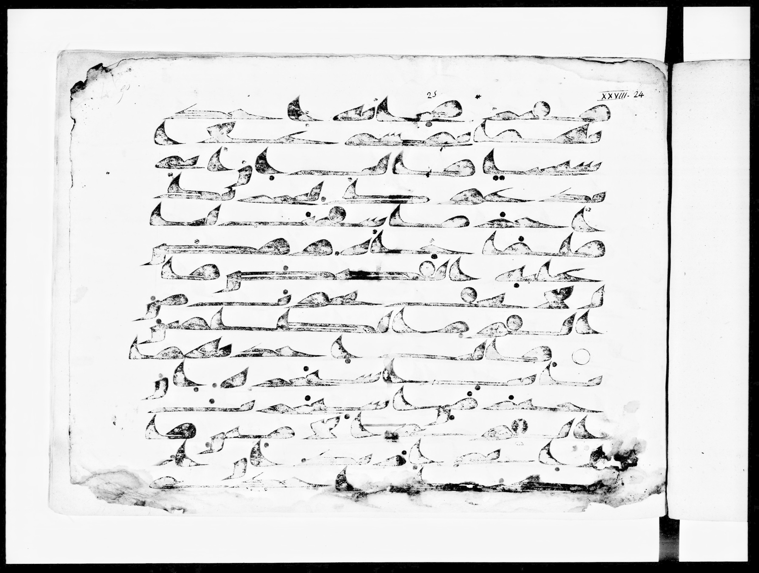 Arabe 334 (d) (Scan 1), in Unclassified script, showing Surah 28:25 from 8th to 9th Century AD found in al-Fusṭāṭ (Old Cairo), Egypt, currently housed at Bibliothèque nationale de France, Paris