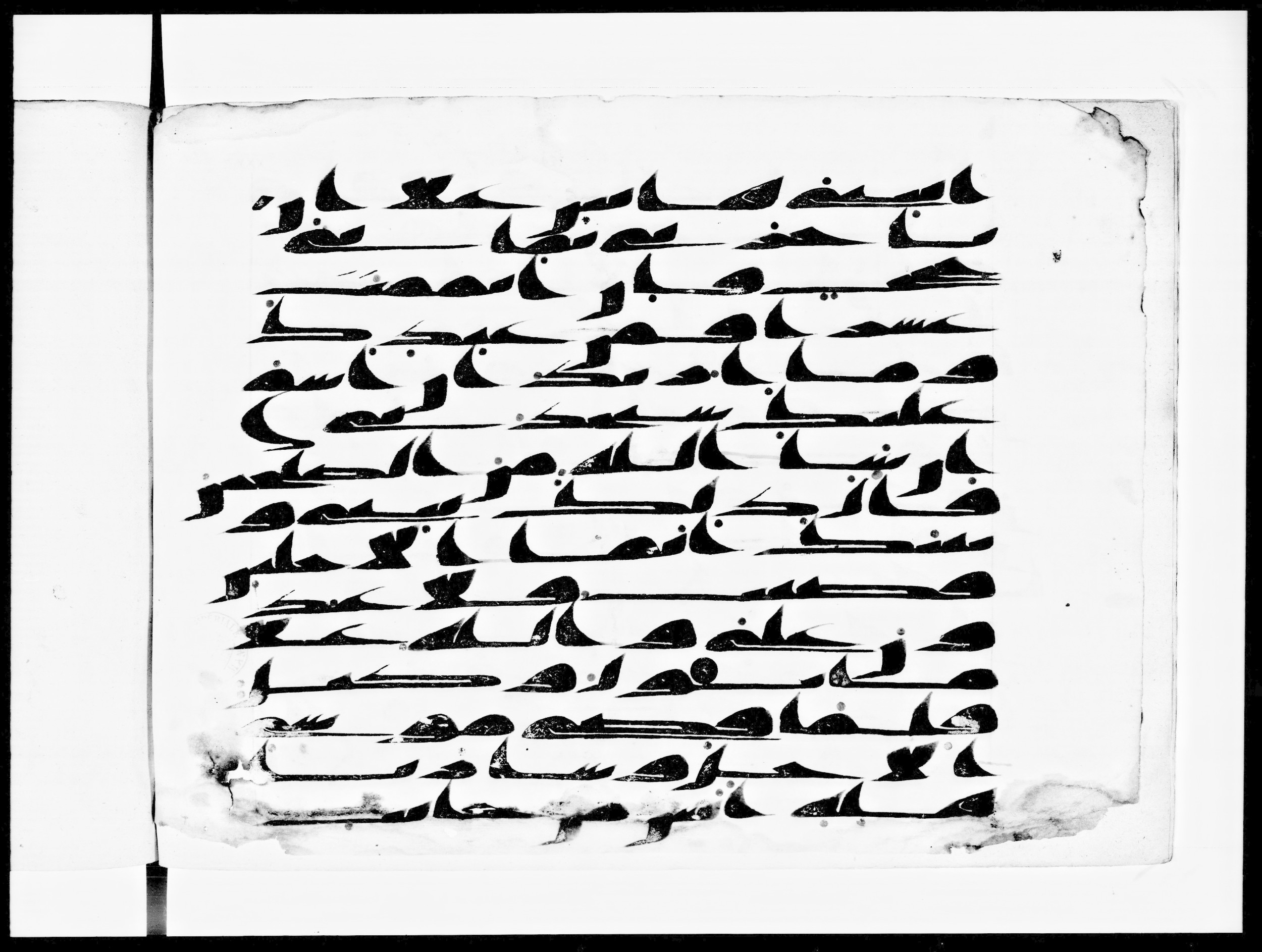 Arabe 334 (d) (Scan 1), in Unclassified script, showing Surah 28:29 from 8th to 9th Century AD found in al-Fusṭāṭ (Old Cairo), Egypt, currently housed at Bibliothèque nationale de France, Paris