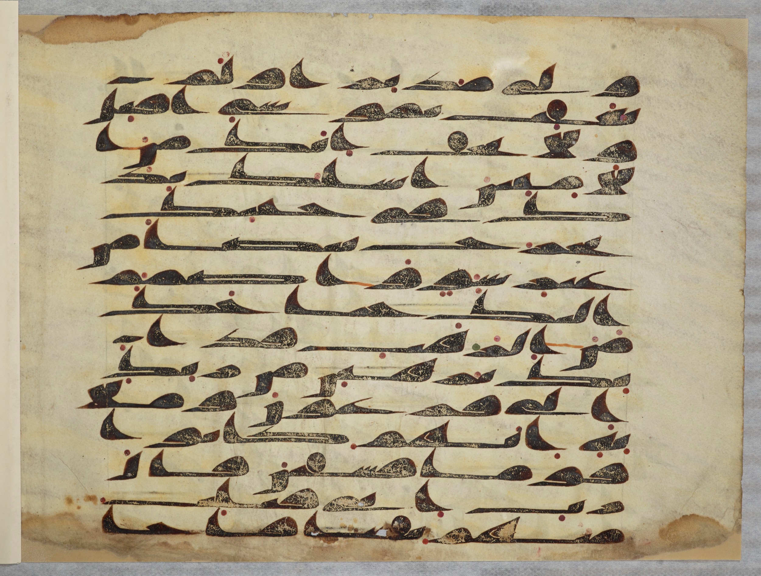 Arabe 334 (d) (Scan 2), in Unclassified script, showing Surah 28:32 from 8th to 9th Century AD found in al-Fusṭāṭ (Old Cairo), Egypt, currently housed at Bibliothèque nationale de France, Paris