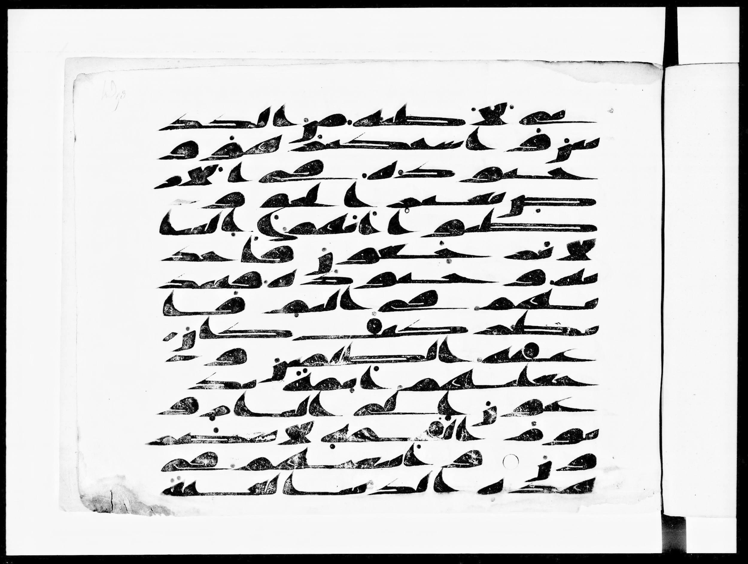 Arabe 334 (d) (Scan 1), in Unclassified script, showing Surah 28:39 from 8th to 9th Century AD found in al-Fusṭāṭ (Old Cairo), Egypt, currently housed at Bibliothèque nationale de France, Paris