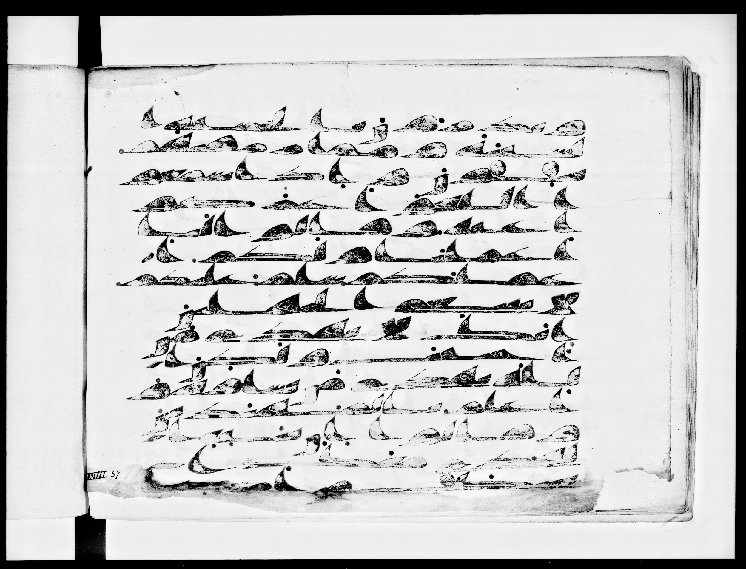 Arabe 334 (d) (Scan 1), in Unclassified script, showing Surah 28:55 from 8th to 9th Century AD found in al-Fusṭāṭ (Old Cairo), Egypt, currently housed at Bibliothèque nationale de France, Paris