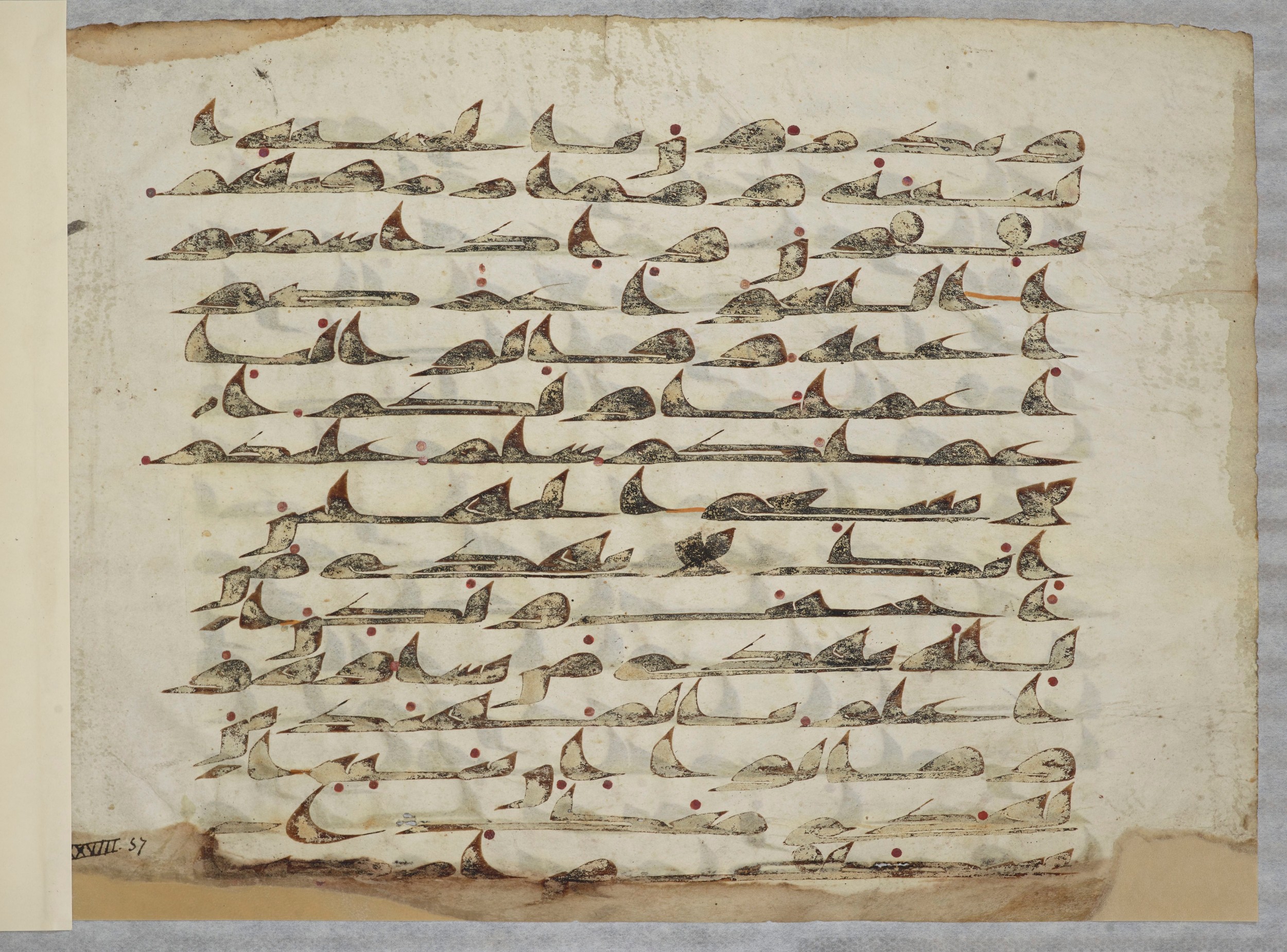 Arabe 334 (d) (Scan 2), in Unclassified script, showing Surah 28:55 from 8th to 9th Century AD found in al-Fusṭāṭ (Old Cairo), Egypt, currently housed at Bibliothèque nationale de France, Paris