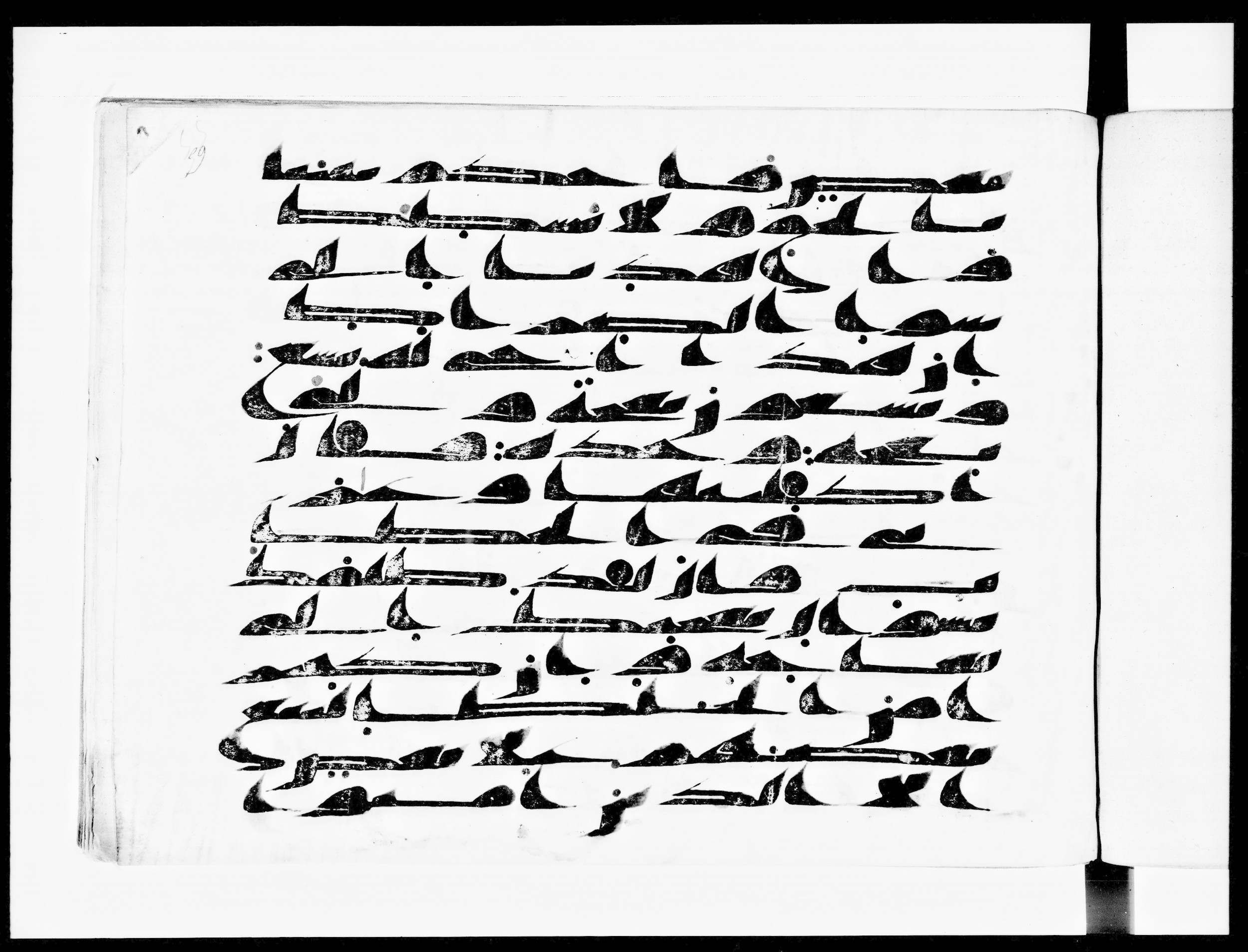 Arabe 334 (d) (Scan 3), in Unclassified script, showing Surah 38:22 from 8th to 9th Century AD found in al-Fusṭāṭ (Old Cairo), Egypt, currently housed at Bibliothèque nationale de France, Paris