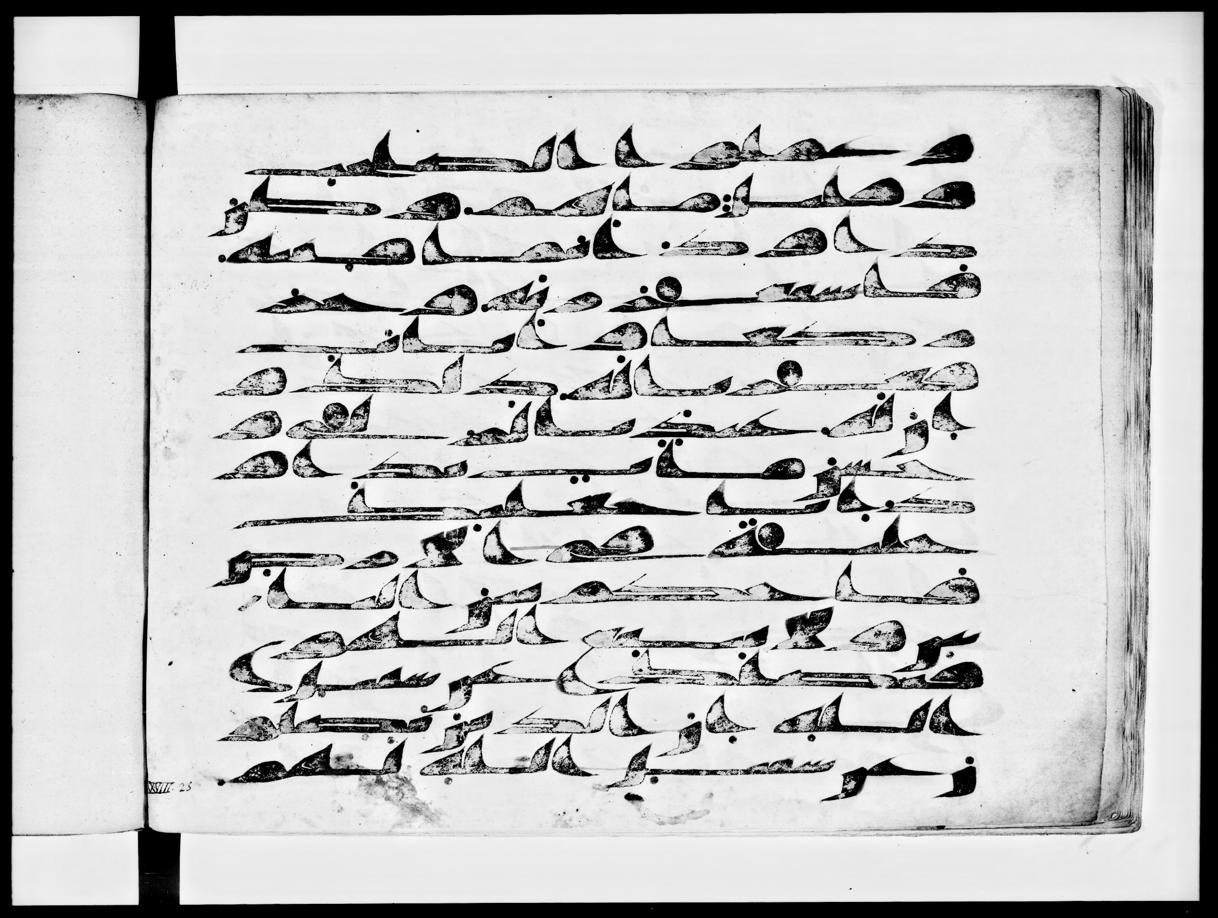Arabe 334 (d) (Scan 1), in Unclassified script, showing Surah 38:25 from 8th to 9th Century AD found in al-Fusṭāṭ (Old Cairo), Egypt, currently housed at Bibliothèque nationale de France, Paris
