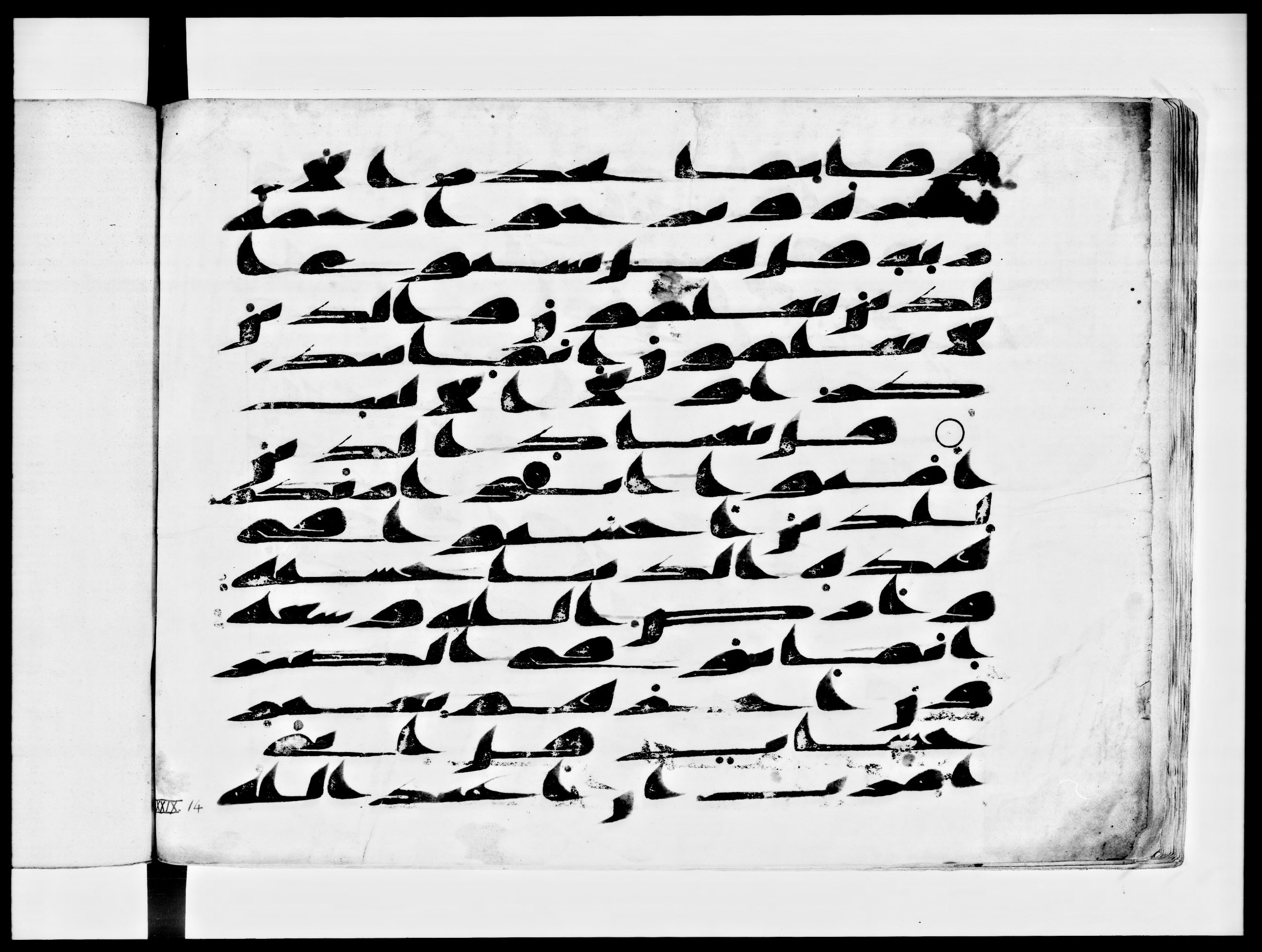 Arabe 334 (d) (Scan 3), in Unclassified script, showing Surah 39:9 from 8th to 9th Century AD found in al-Fusṭāṭ (Old Cairo), Egypt, currently housed at Bibliothèque nationale de France, Paris