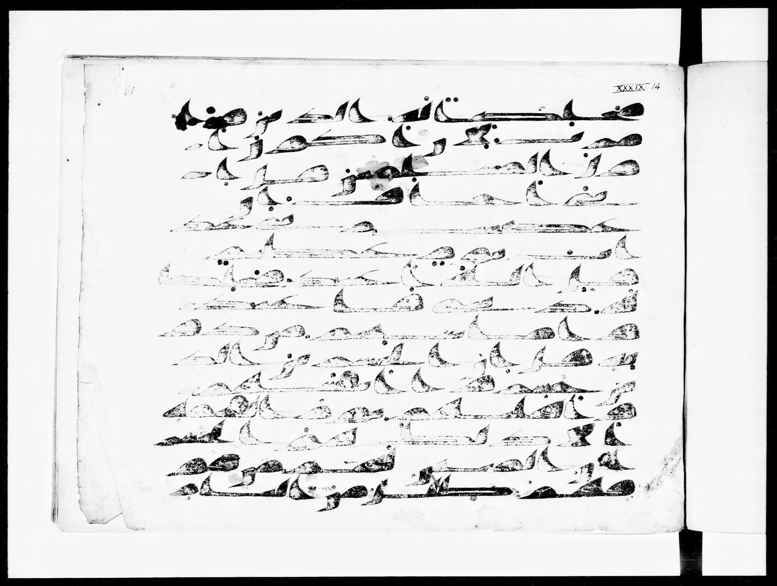 Arabe 334 (d) (Scan 1), in Unclassified script, showing Surah 39:13 from 8th to 9th Century AD found in al-Fusṭāṭ (Old Cairo), Egypt, currently housed at Bibliothèque nationale de France, Paris