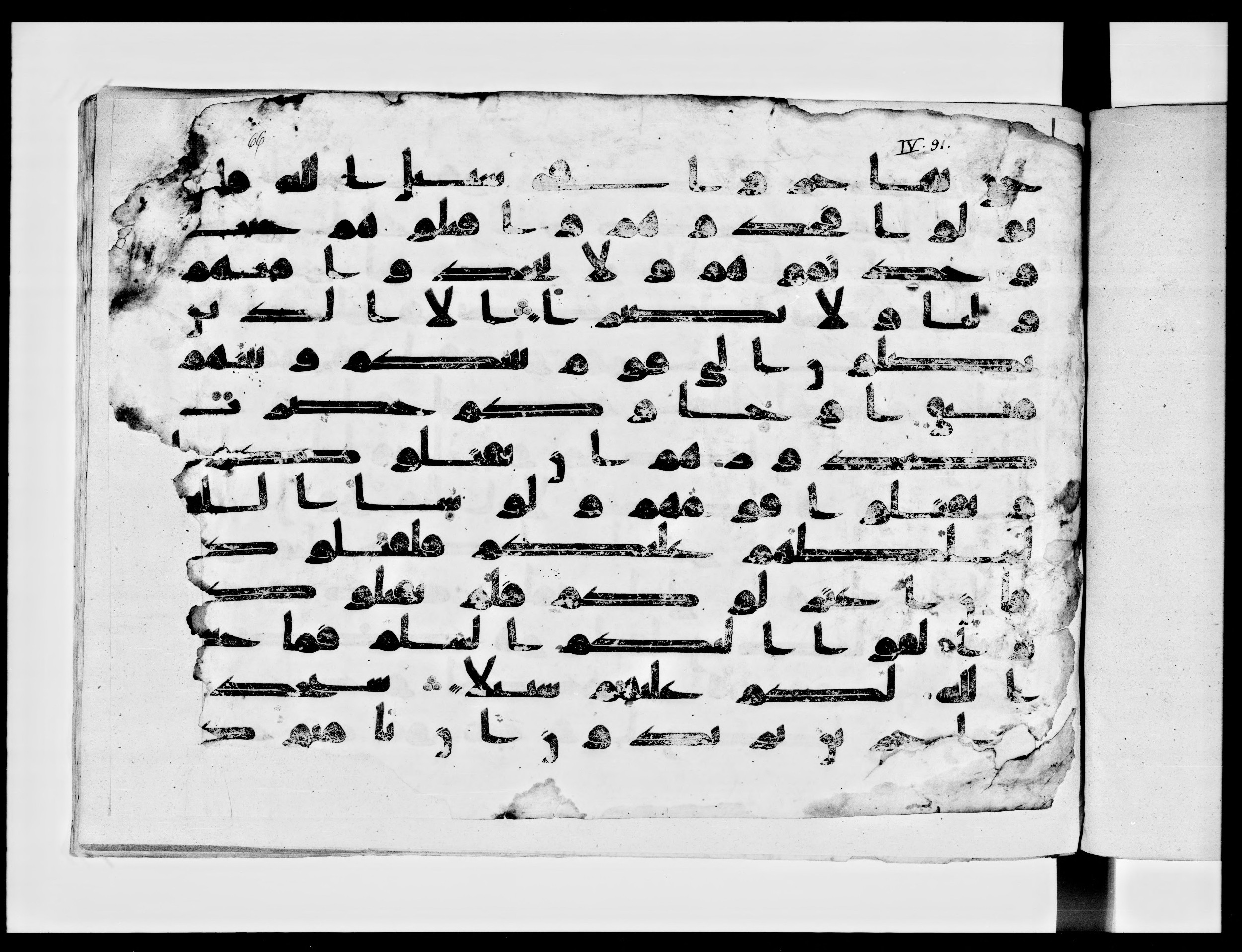 Paris, Bibliothèque nationale de France, Arabe 334 (f) (Scan 1), in kūfī D.IV script, showing Surah 4:89 from 8th to 9th Century AD found in al-Fusṭāṭ (Old Cairo), Egypt, currently housed at Bibliothèque nationale de France, Paris