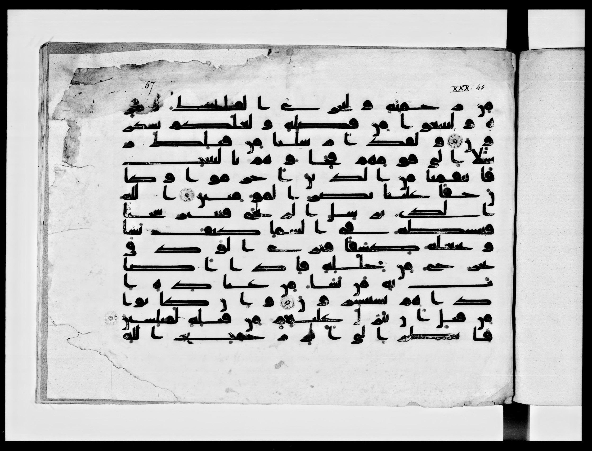 Paris, Bibliothèque nationale de France, Arabe 334 (g) (Scan 1), in Kūfī D.IV script, showing Surah 30:49 from 8th to 9th Century AD found in al-Fusṭāṭ (Old Cairo), Egypt, currently housed at Bibliothèque nationale de France, Paris