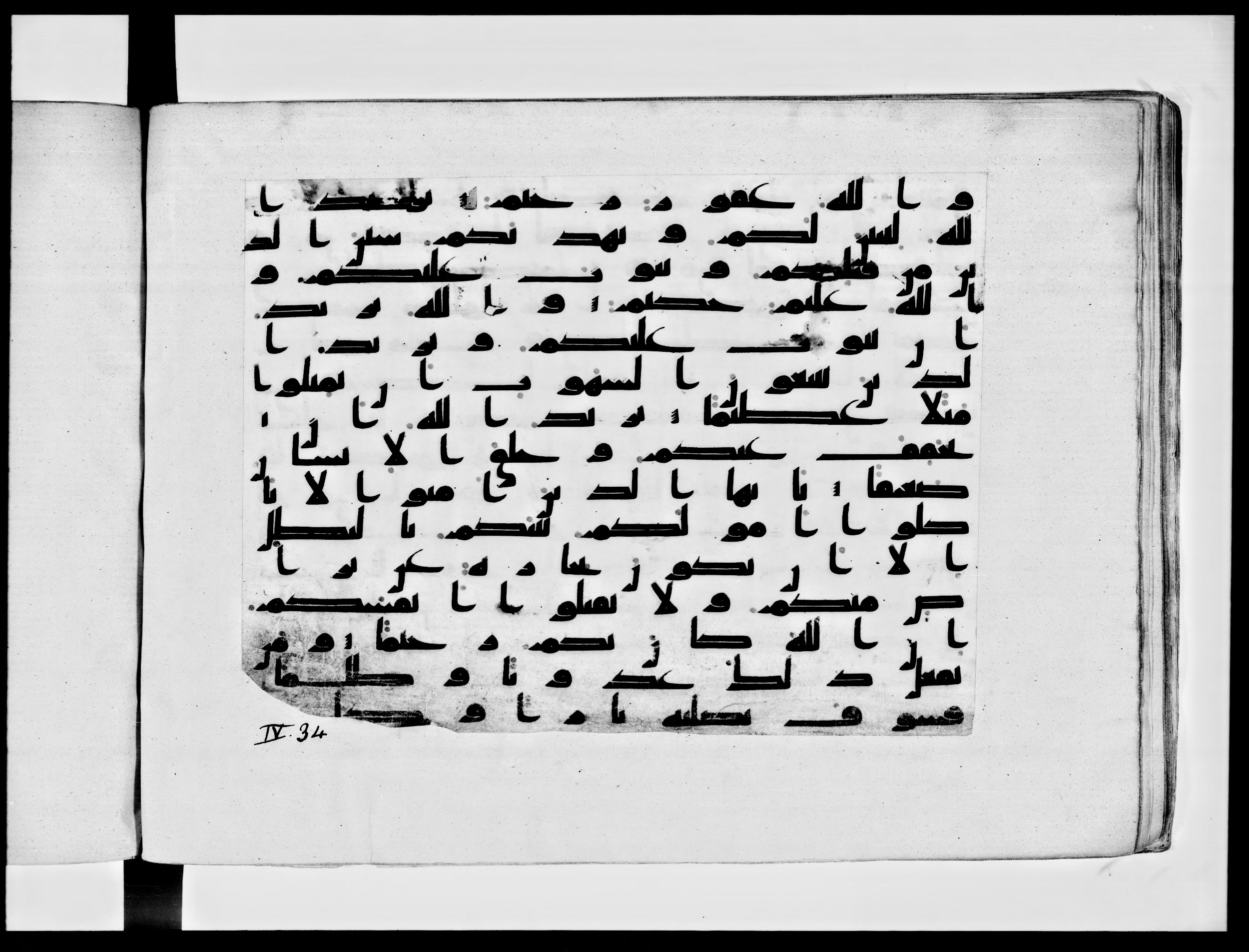 Paris, Bibliothèque nationale de France, Arabe 334 (h) (Scan 1), in Kufic B.II script, showing Surah 4:29 from 8th to 9th Century AD found in Fustat (Old Cairo), Egypt, currently housed at Bibliothèque nationale de France, Paris