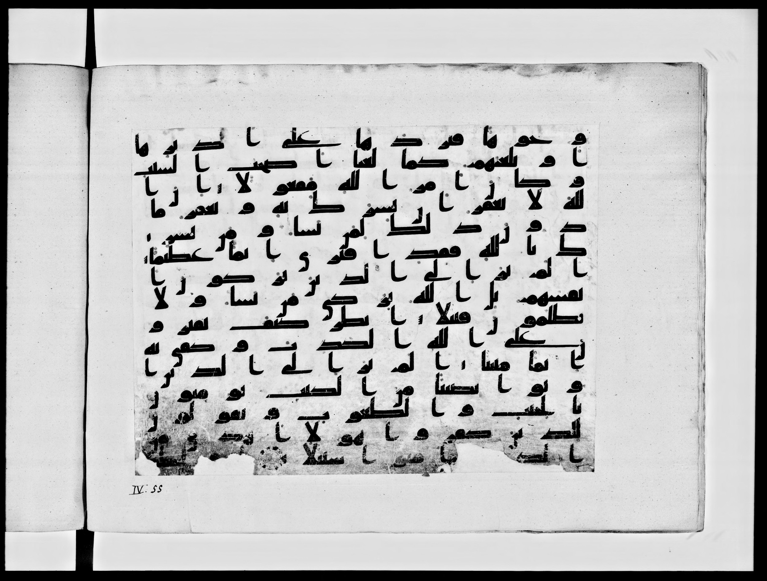 Paris, Bibliothèque nationale de France, Arabe 334 (h) (Scan 1), in Kufic B.II script, showing Surah 4:49 from 8th to 9th Century AD found in Fustat (Old Cairo), Egypt, currently housed at Bibliothèque nationale de France, Paris