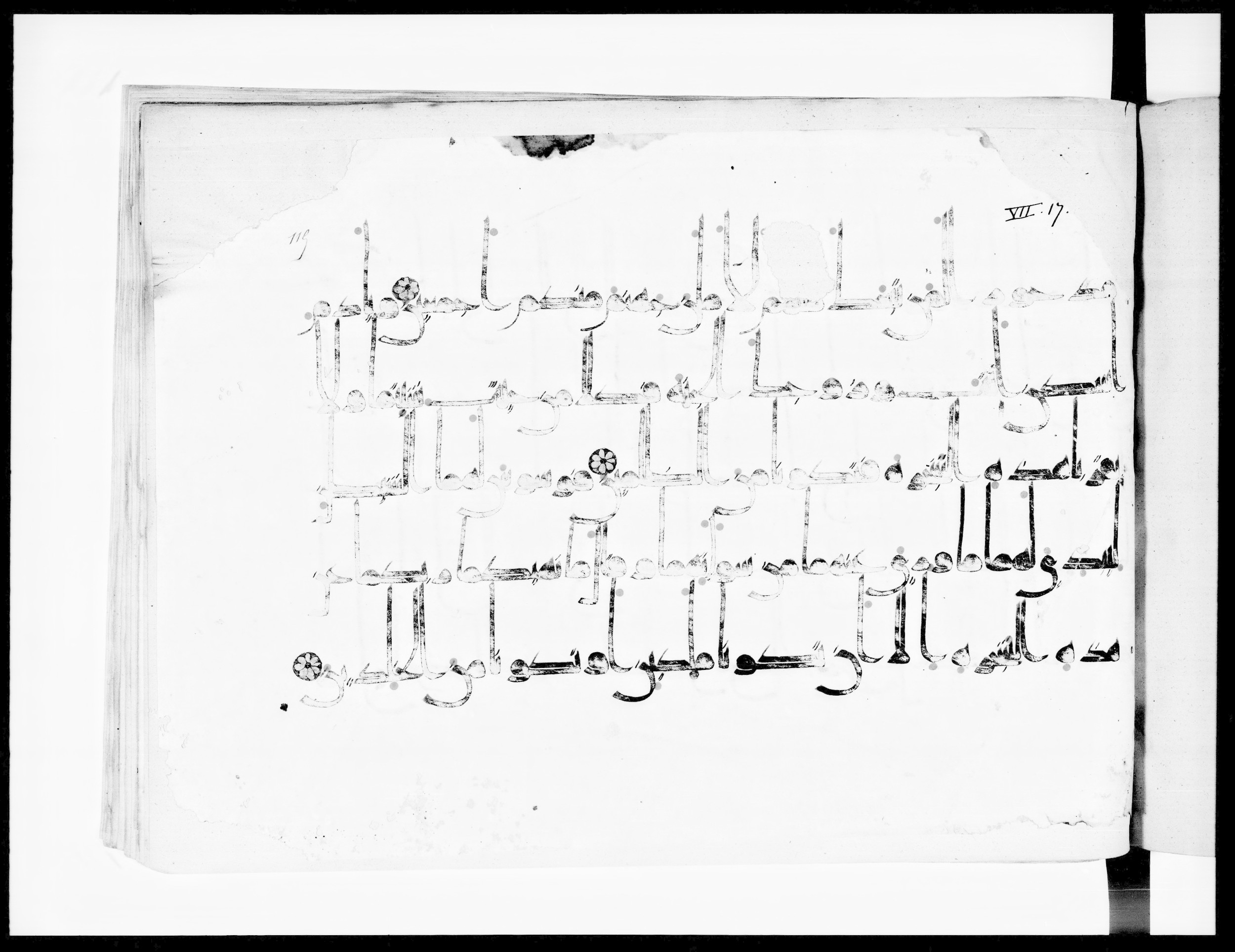 Arabe 334 (j) (Scan 1), in D V c script, showing Surah 7:19 from 9th to 10th Century AD found in Fustat (Old Cairo), Egypt, currently housed at Bibliothèque nationale de France, Paris