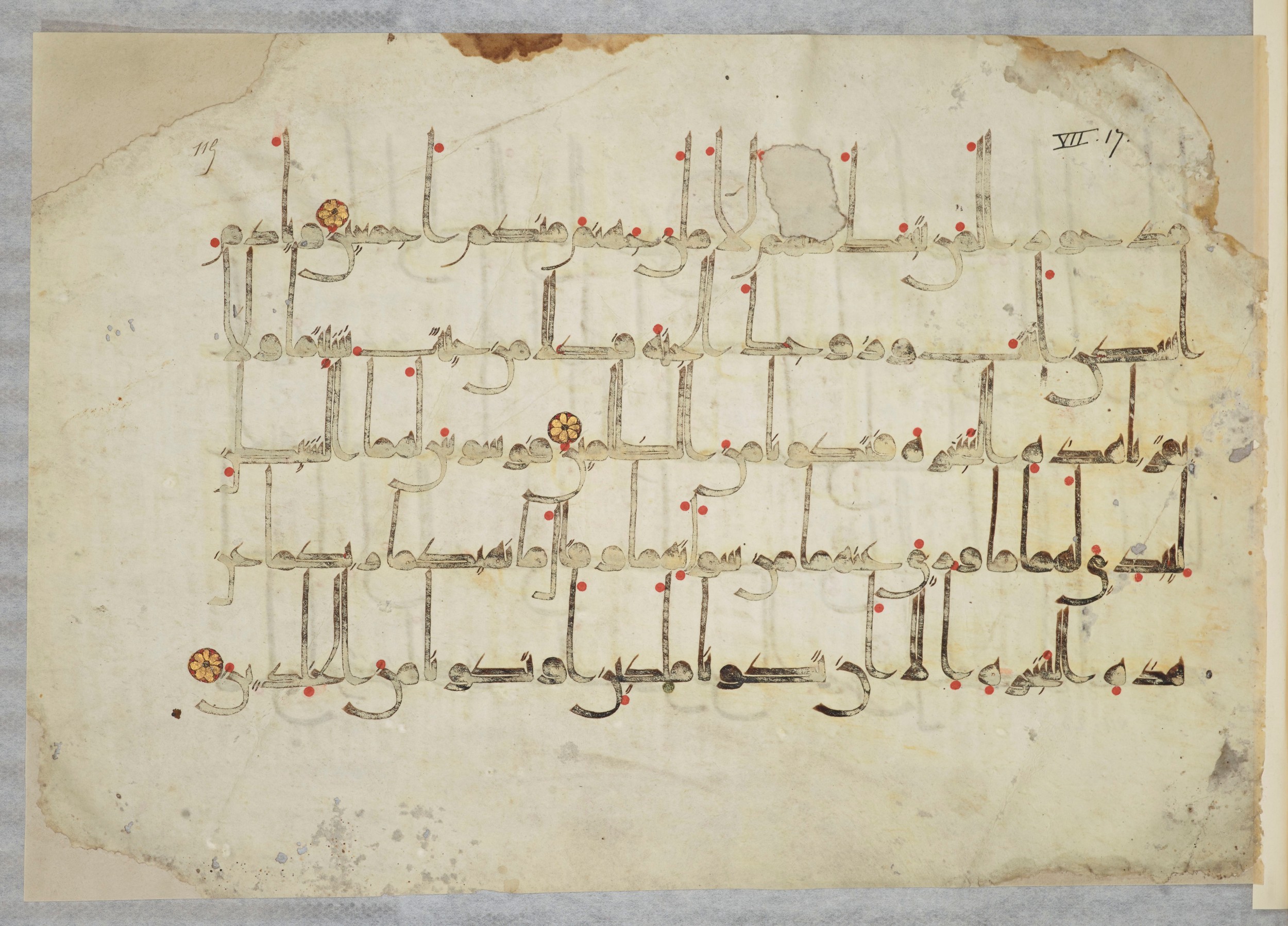 Arabe 334 (j) (Scan 2), in D V c script, showing Surah 7:19 from 9th to 10th Century AD found in Fustat (Old Cairo), Egypt, currently housed at Bibliothèque nationale de France, Paris