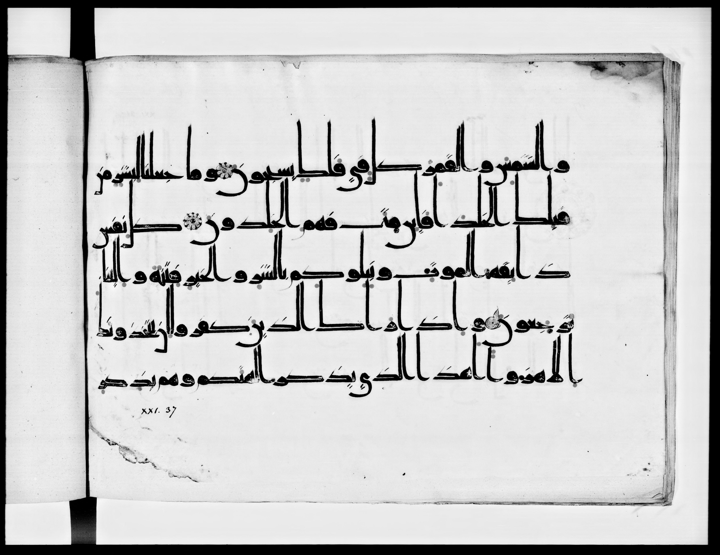 Arabe 334 (j) (Scan 1), in D V c script, showing Surah 21:35 from 9th to 10th Century AD found in Fustat (Old Cairo), Egypt, currently housed at Bibliothèque nationale de France, Paris