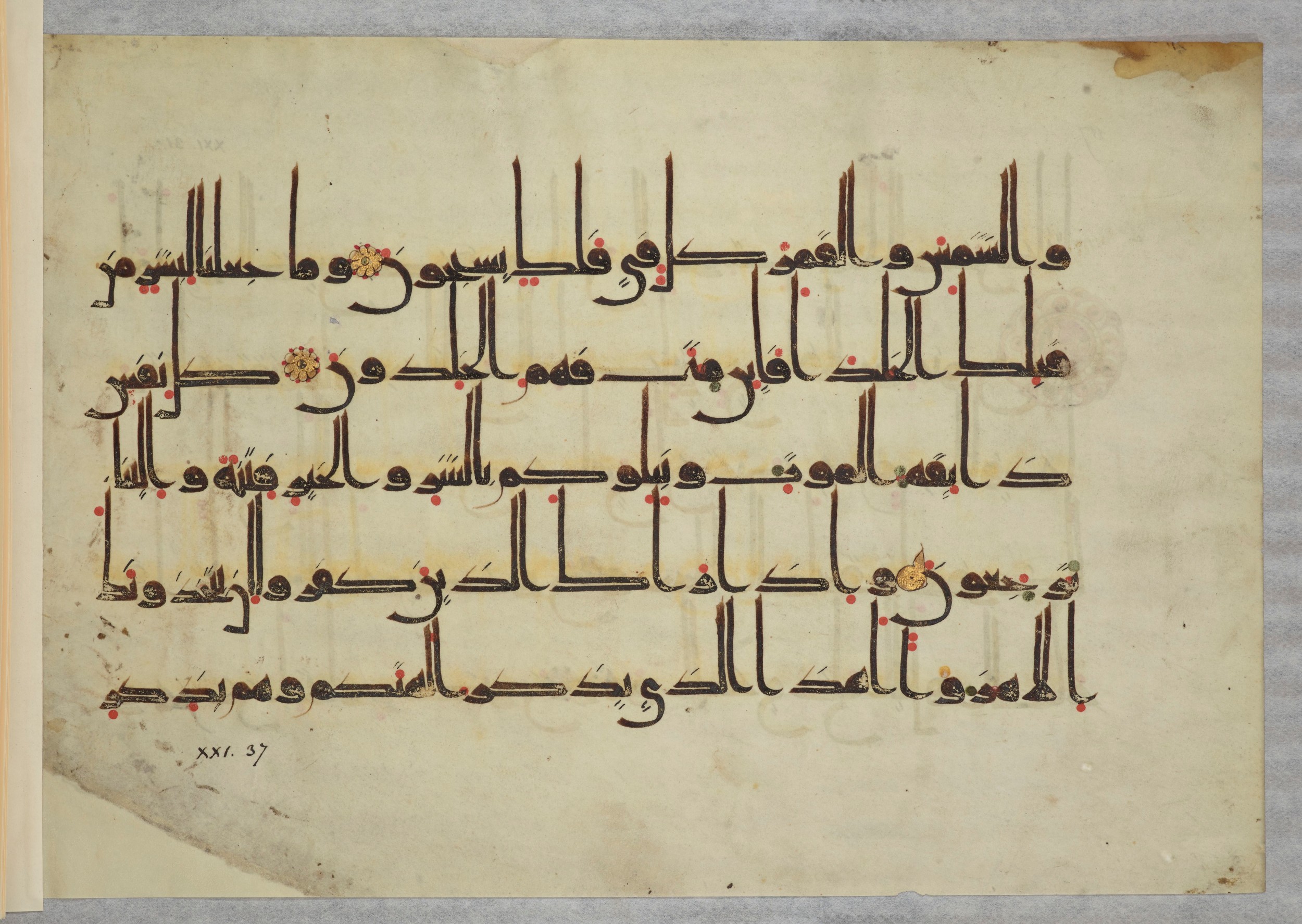Arabe 334 (j) (Scan 2), in D V c script, showing Surah 21:35 from 9th to 10th Century AD found in Fustat (Old Cairo), Egypt, currently housed at Bibliothèque nationale de France, Paris