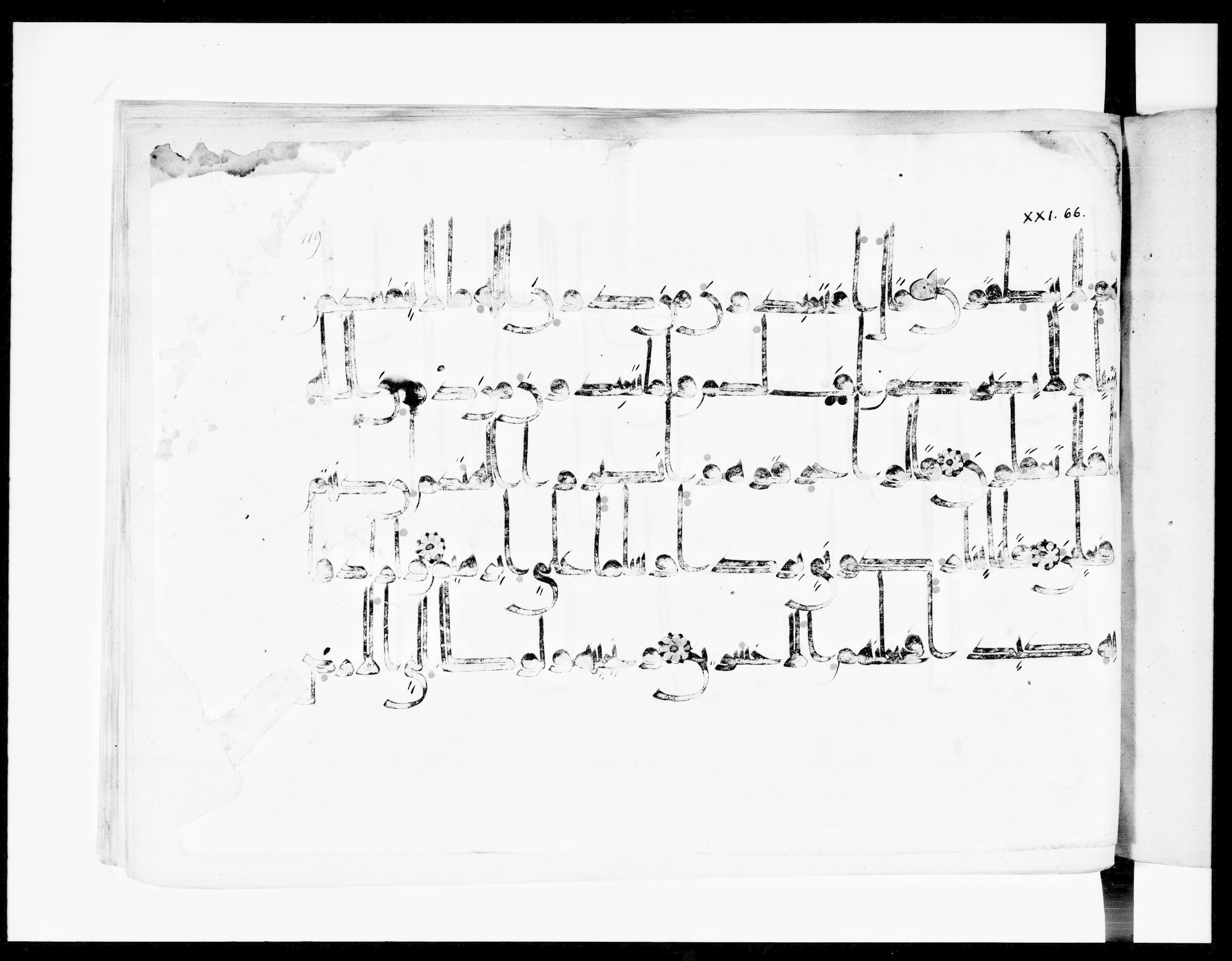 Arabe 334 (j) (Scan 1), in D V c script, showing Surah 21:67 from 9th to 10th Century AD found in Fustat (Old Cairo), Egypt, currently housed at Bibliothèque nationale de France, Paris