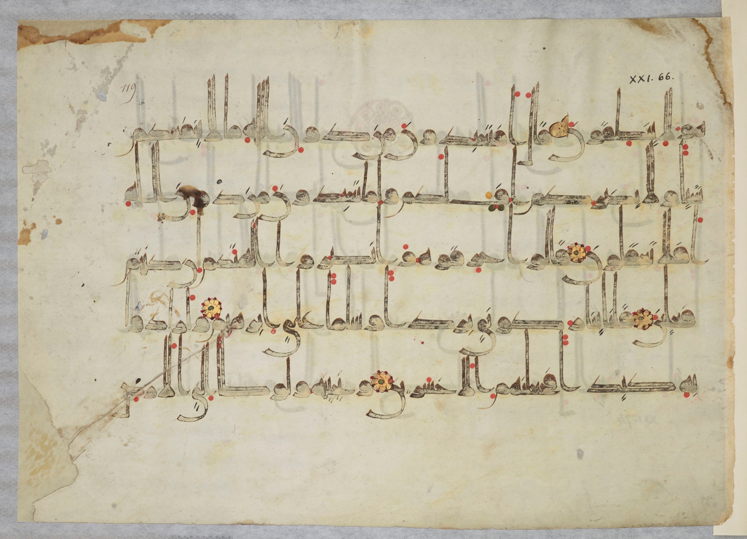 Arabe 334 (j) (Scan 2), in D V c script, showing Surah 21:67 from 9th to 10th Century AD found in Fustat (Old Cairo), Egypt, currently housed at Bibliothèque nationale de France, Paris