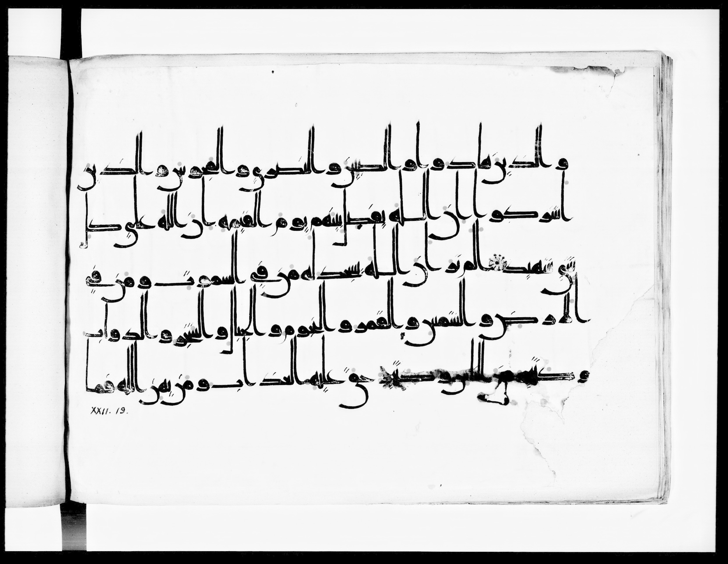 Arabe 334 (j) (Scan 1), in D V c script, showing Surah 22:18 from 9th to 10th Century AD found in Fustat (Old Cairo), Egypt, currently housed at Bibliothèque nationale de France, Paris