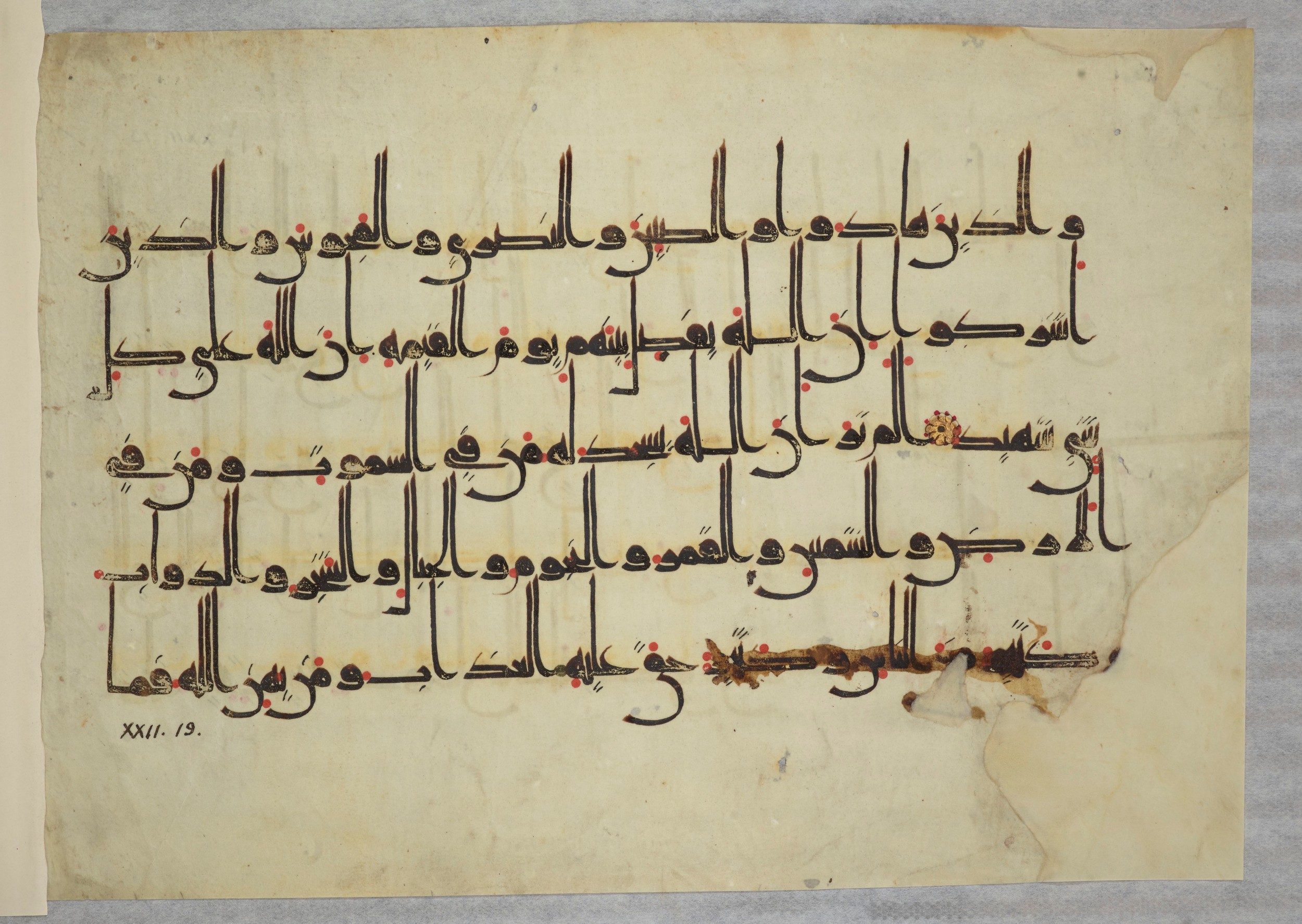 Arabe 334 (j) (Scan 2), in D V c script, showing Surah 22:18 from 9th to 10th Century AD found in Fustat (Old Cairo), Egypt, currently housed at Bibliothèque nationale de France, Paris