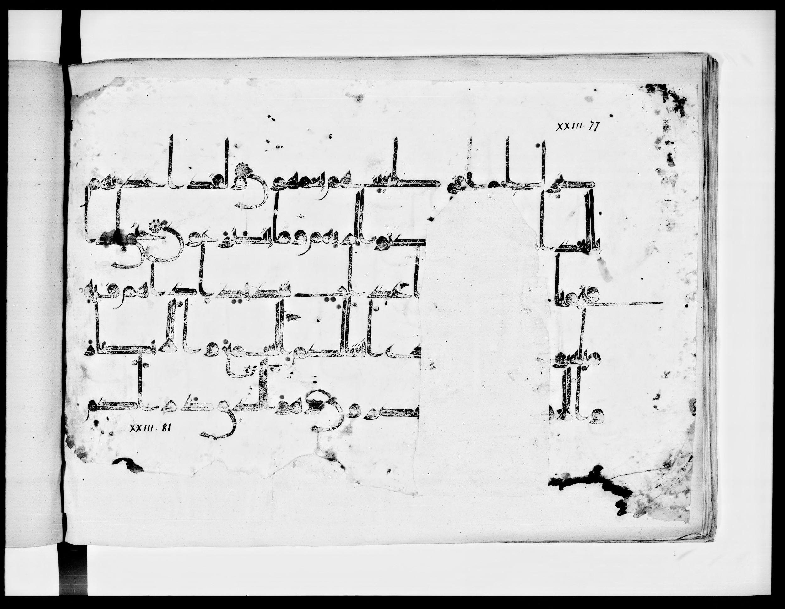 Arabe 334 (j) (Scan 1), in D V c script, showing Surah 23:76 from 9th to 10th Century AD found in Fustat (Old Cairo), Egypt, currently housed at Bibliothèque nationale de France, Paris