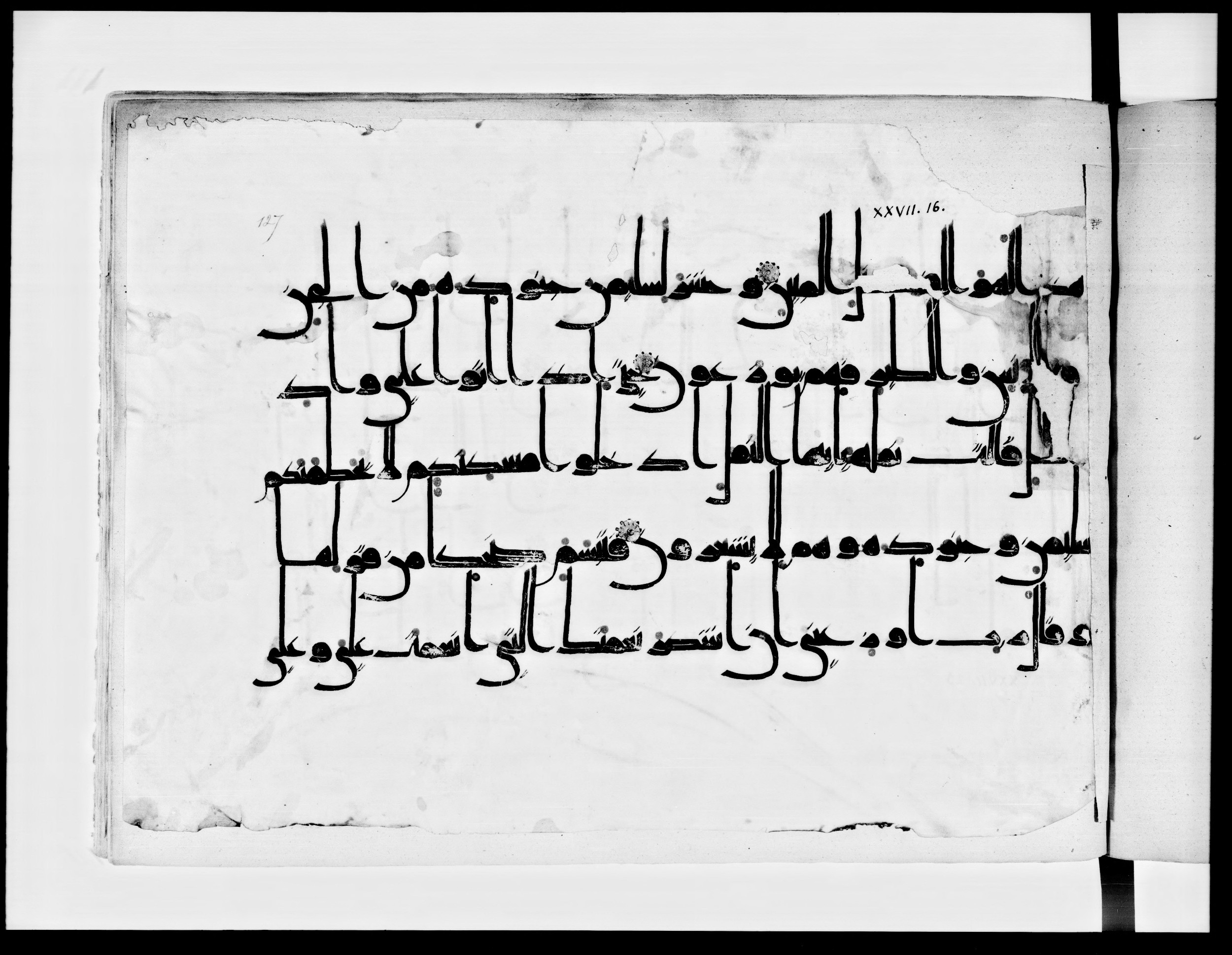 Arabe 334 (j) (Scan 1), in D V c script, showing Surah 27:19 from 9th to 10th Century AD found in Fustat (Old Cairo), Egypt, currently housed at Bibliothèque nationale de France, Paris