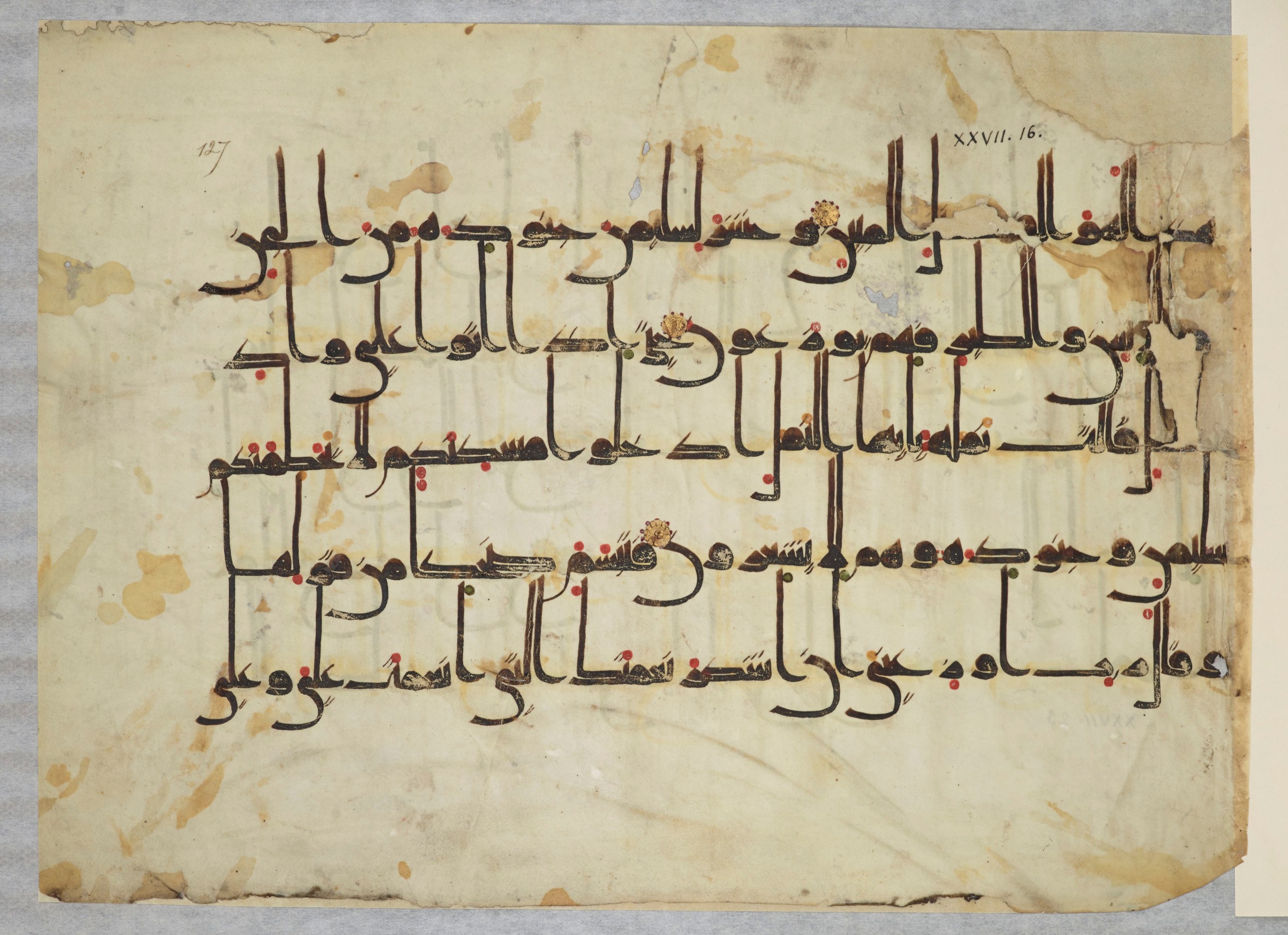 Arabe 334 (j) (Scan 2), in D V c script, showing Surah 27:19 from 9th to 10th Century AD found in Fustat (Old Cairo), Egypt, currently housed at Bibliothèque nationale de France, Paris