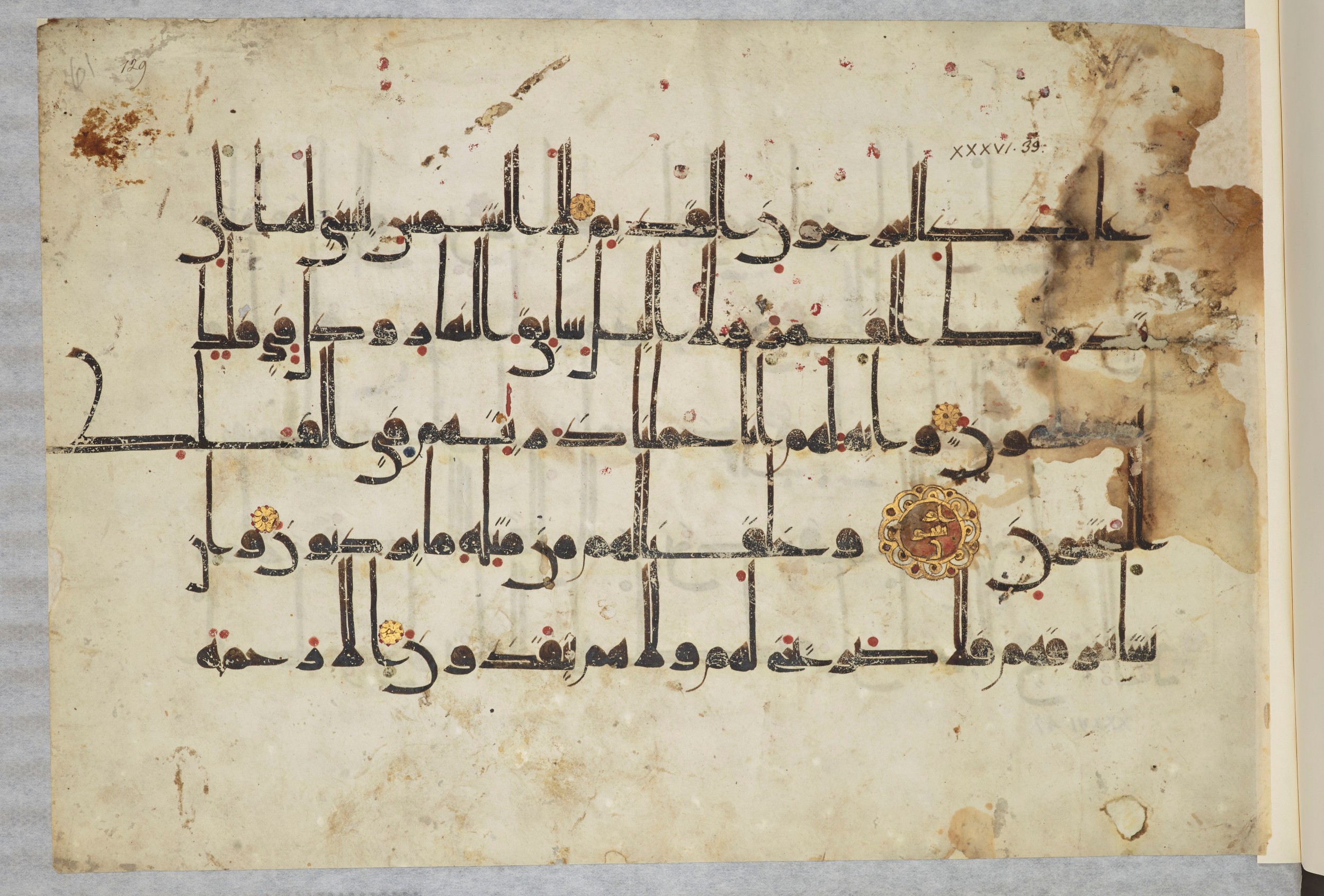 Arabe 334 (j) (Scan 2), in D V c script, showing Surah 36:44 from 9th to 10th Century AD found in Fustat (Old Cairo), Egypt, currently housed at Bibliothèque nationale de France, Paris