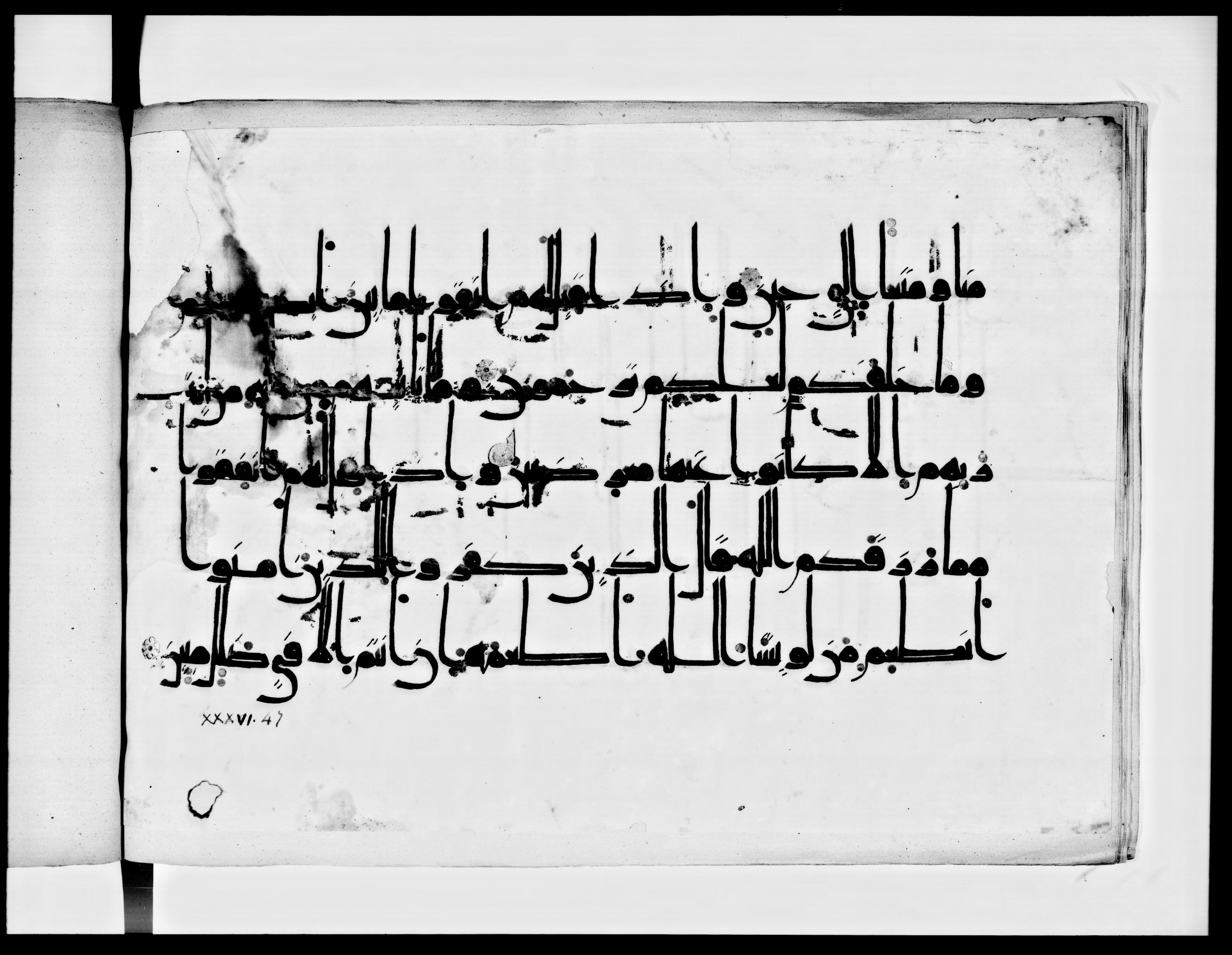Arabe 334 (j) (Scan 3), in D V c script, showing Surah 36:44 from 9th to 10th Century AD found in Fustat (Old Cairo), Egypt, currently housed at Bibliothèque nationale de France, Paris
