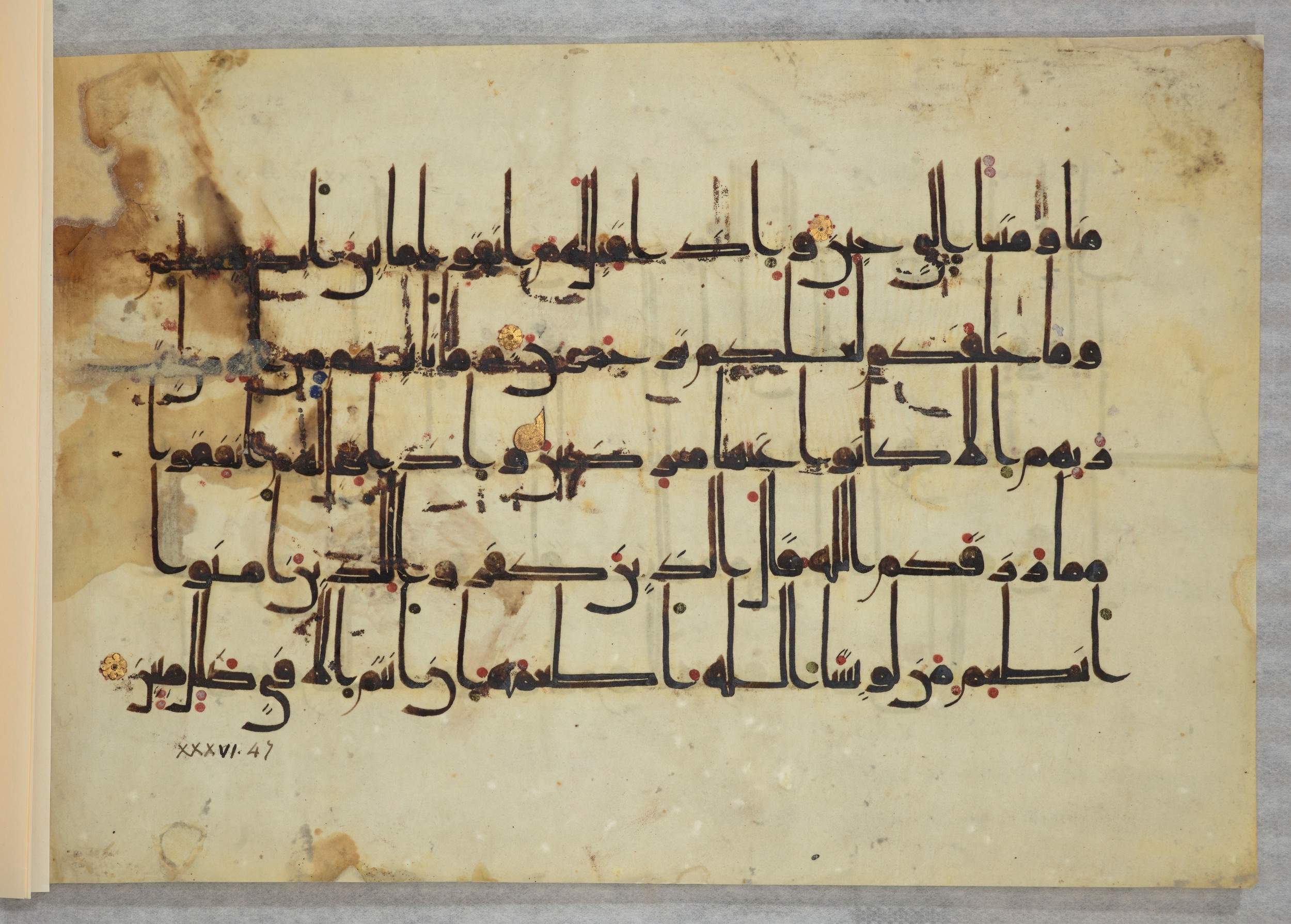 Arabe 334 (j) (Scan 4), in D V c script, showing Surah 36:44 from 9th to 10th Century AD found in Fustat (Old Cairo), Egypt, currently housed at Bibliothèque nationale de France, Paris