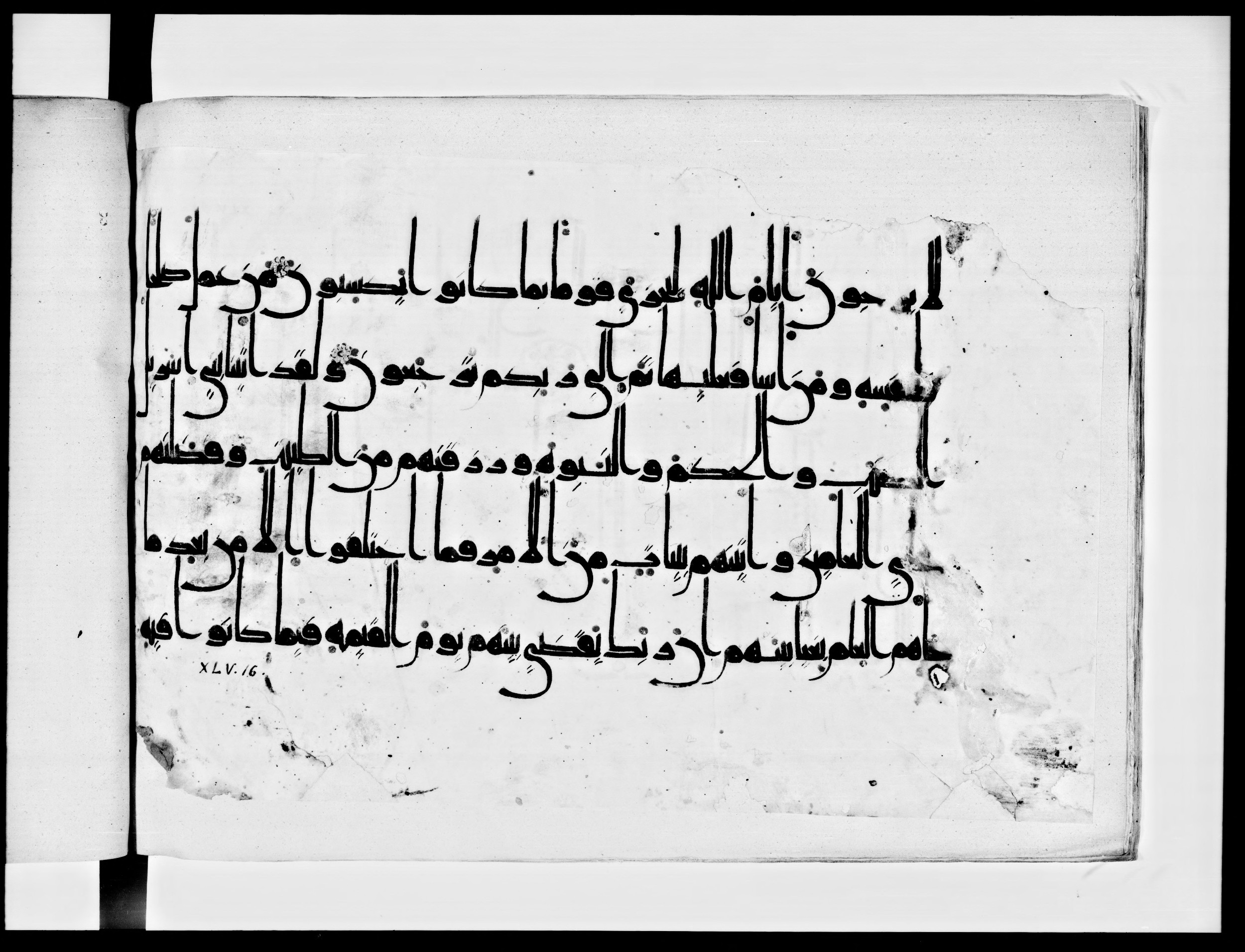 Arabe 334 (j) (Scan 1), in D V c script, showing Surah 45:16 from 9th to 10th Century AD found in Fustat (Old Cairo), Egypt, currently housed at Bibliothèque nationale de France, Paris