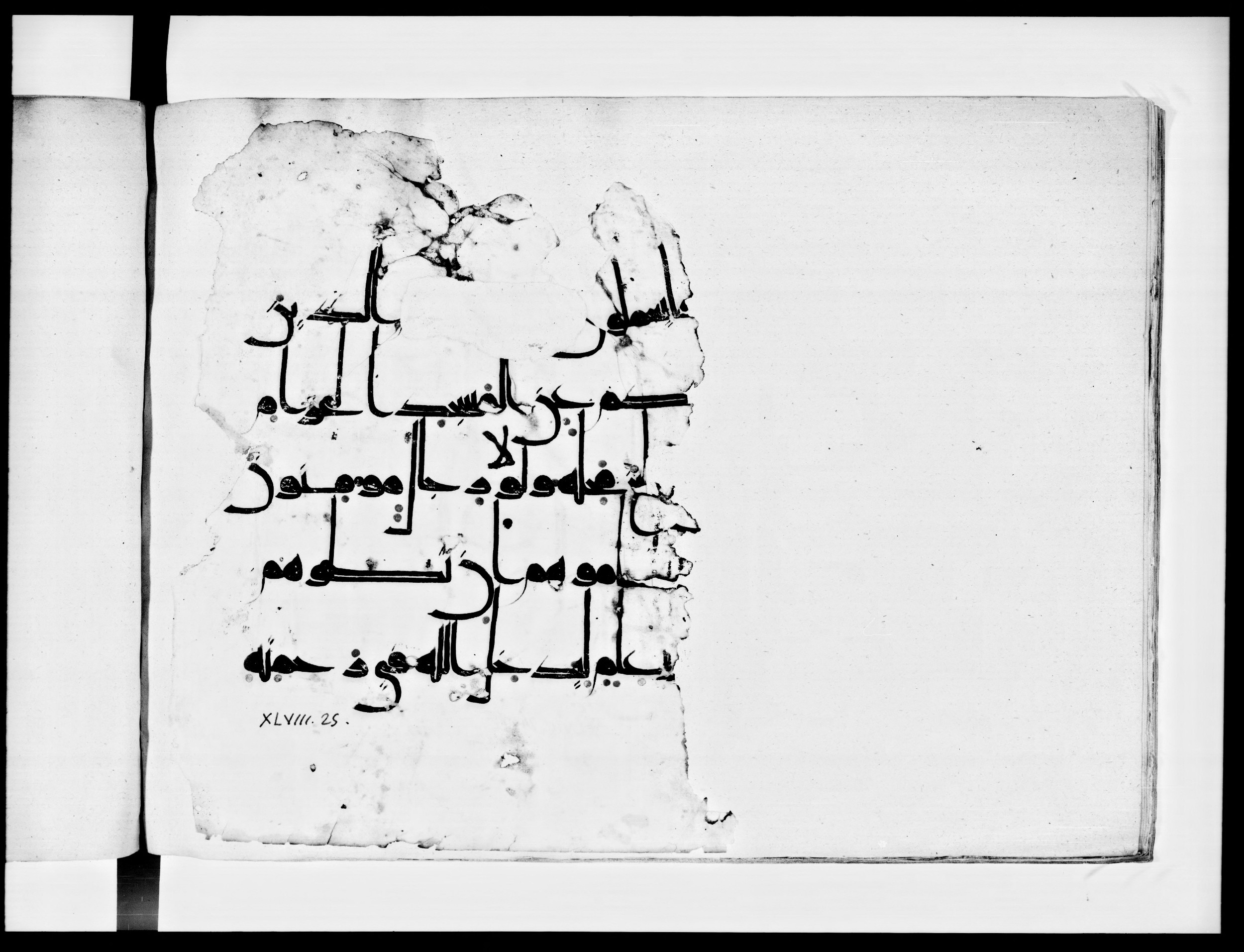 Arabe 334 (j) (Scan 3), in D V c script, showing Surah 48:24 from 9th to 10th Century AD found in Fustat (Old Cairo), Egypt, currently housed at Bibliothèque nationale de France, Paris