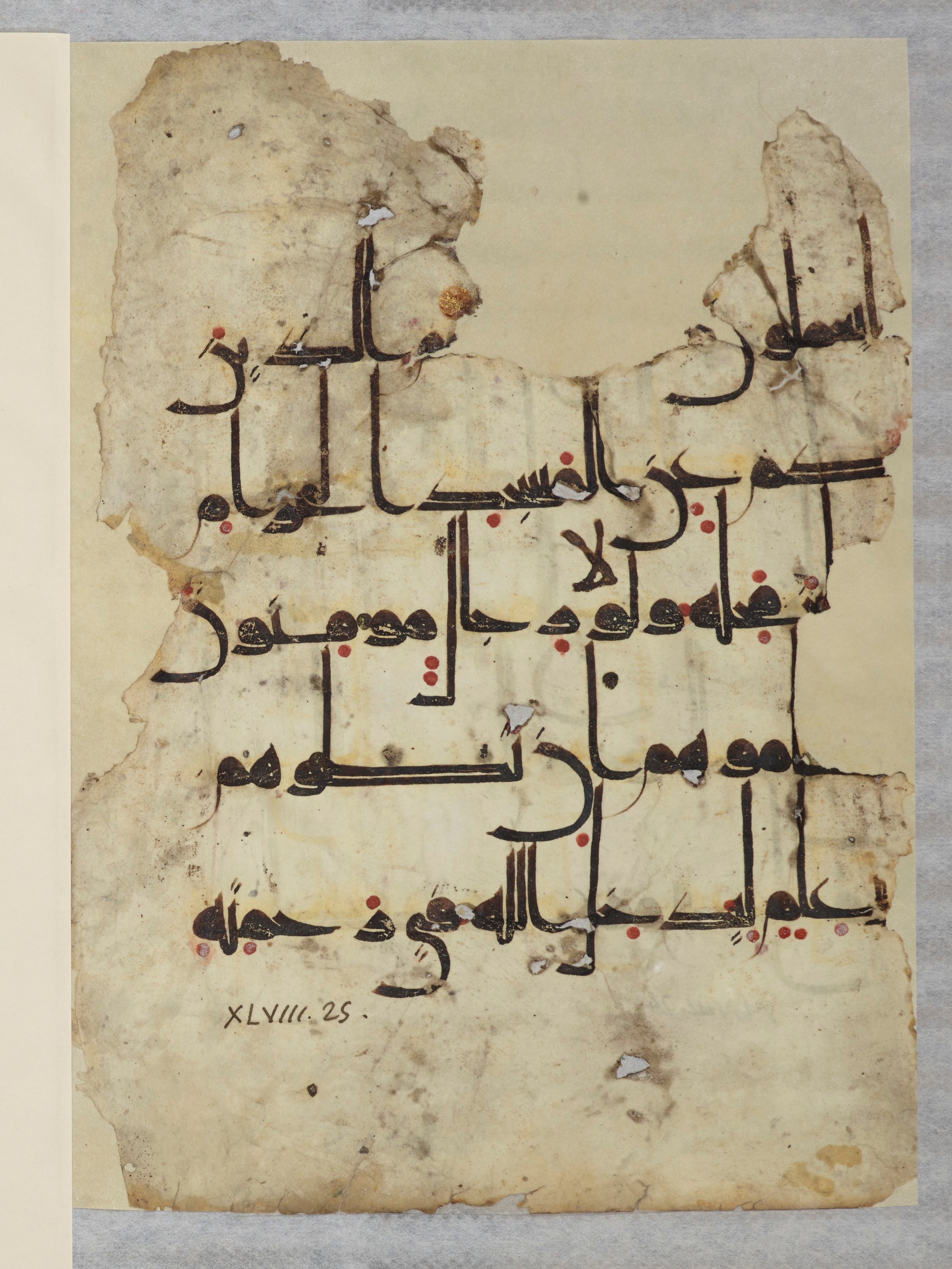 Arabe 334 (j) (Scan 4), in D V c script, showing Surah 48:24 from 9th to 10th Century AD found in Fustat (Old Cairo), Egypt, currently housed at Bibliothèque nationale de France, Paris