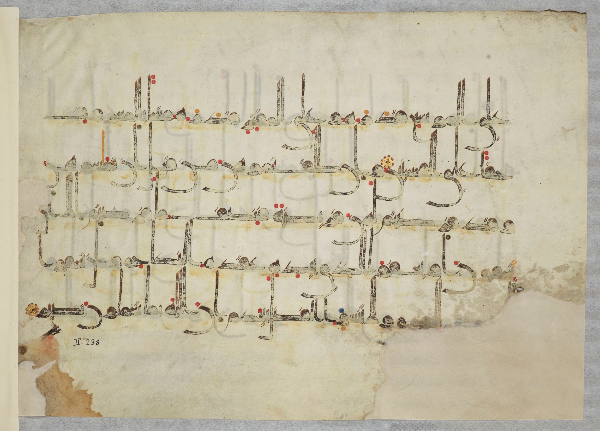 Arabe 334 (j) (Scan 2), in D V c script, showing Surah 2:237 from 9th to 10th Century AD found in Fustat (Old Cairo), Egypt, currently housed at Bibliothèque nationale de France, Paris