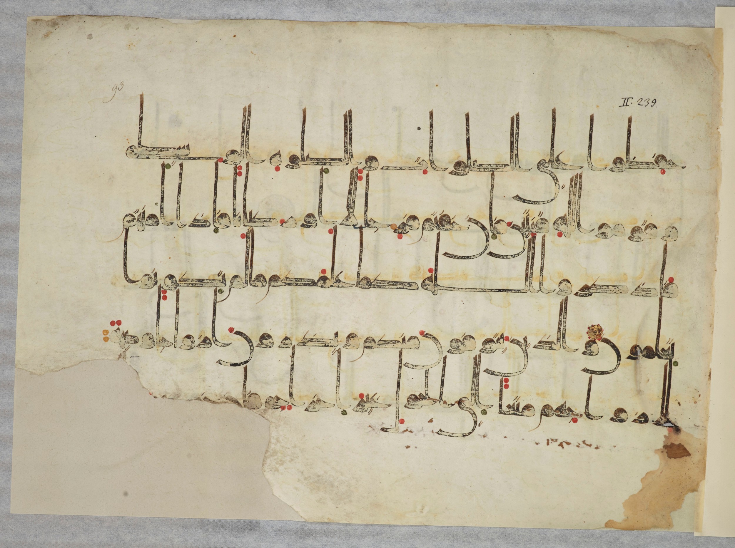Arabe 334 (j) (Scan 2), in D V c script, showing Surah 2:239 from 9th to 10th Century AD found in Fustat (Old Cairo), Egypt, currently housed at Bibliothèque nationale de France, Paris