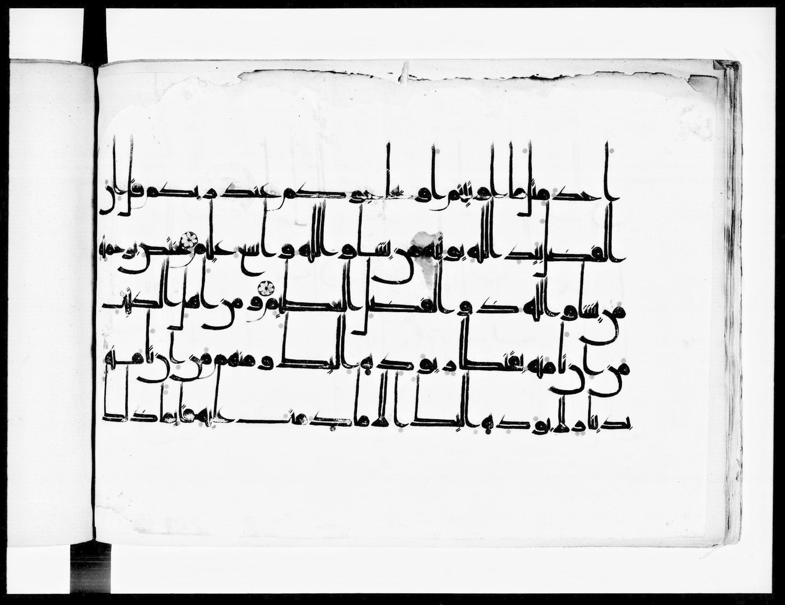 Arabe 334 (j) (Scan 3), in D V c script, showing Surah 3:73 from 9th to 10th Century AD found in Fustat (Old Cairo), Egypt, currently housed at Bibliothèque nationale de France, Paris