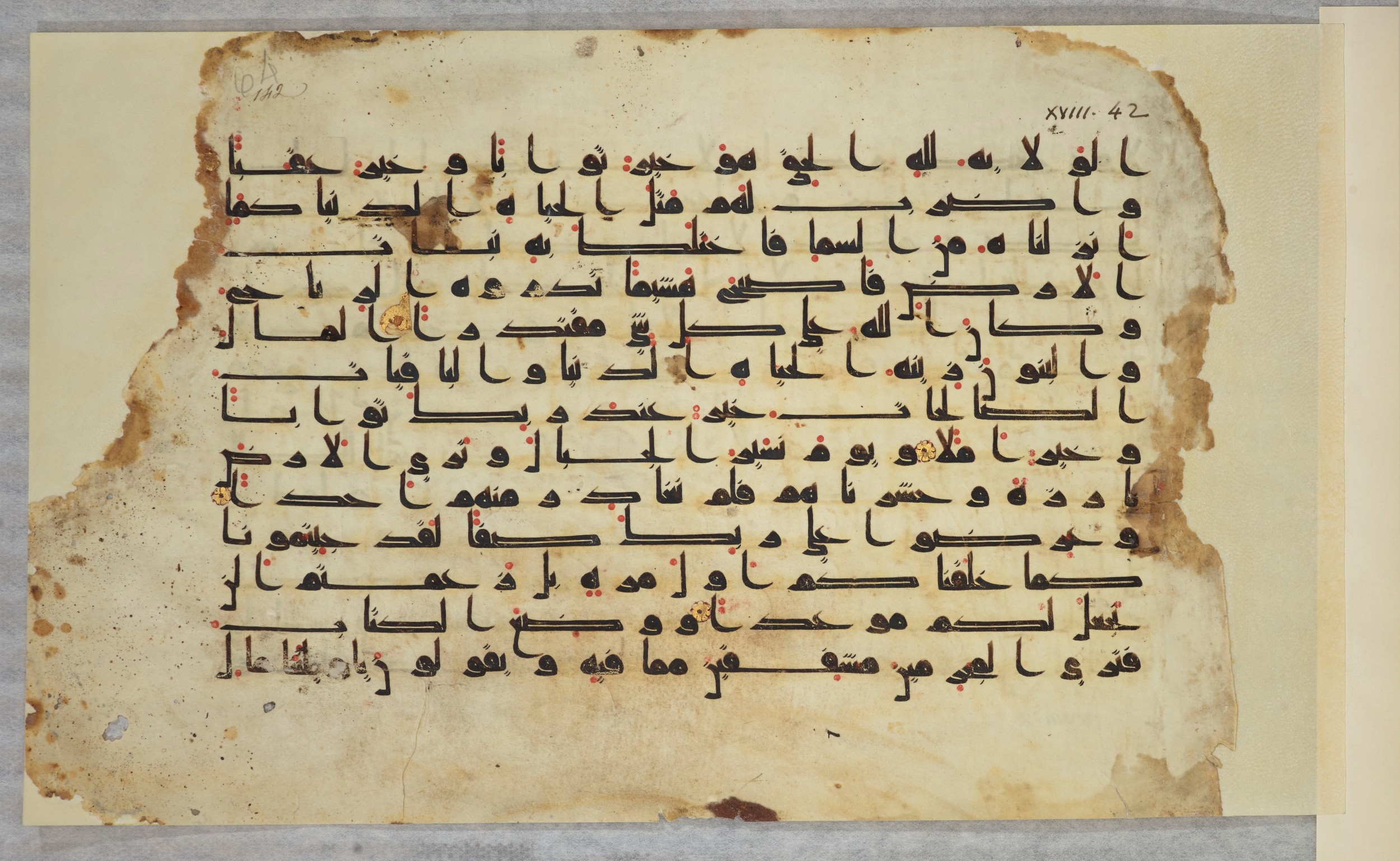 Paris, Bibliothèque nationale de France, Arabe 334 (k) (Scan 2), in Kūfī D.I script, showing Surah 18:49 from Mid 8th to Late 9th Century AD found in Fustat (Old Cairo), Egypt, currently housed at Bibliothèque nationale de France, Paris