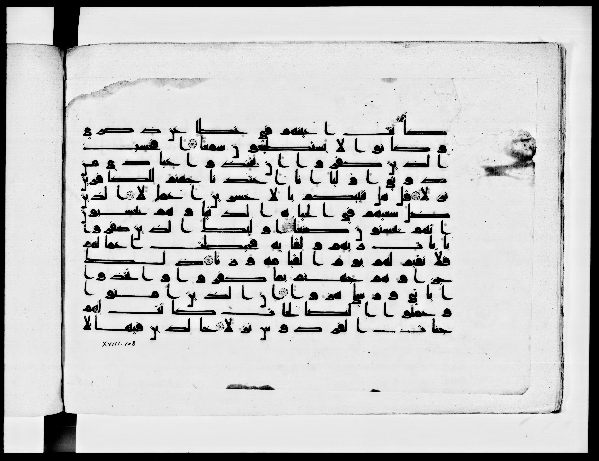 Paris, Bibliothèque nationale de France, Arabe 334 (k) (Scan 1), in Kūfī D.I script, showing Surah 18:103 from Mid 8th to Late 9th Century AD found in Fustat (Old Cairo), Egypt, currently housed at Bibliothèque nationale de France, Paris