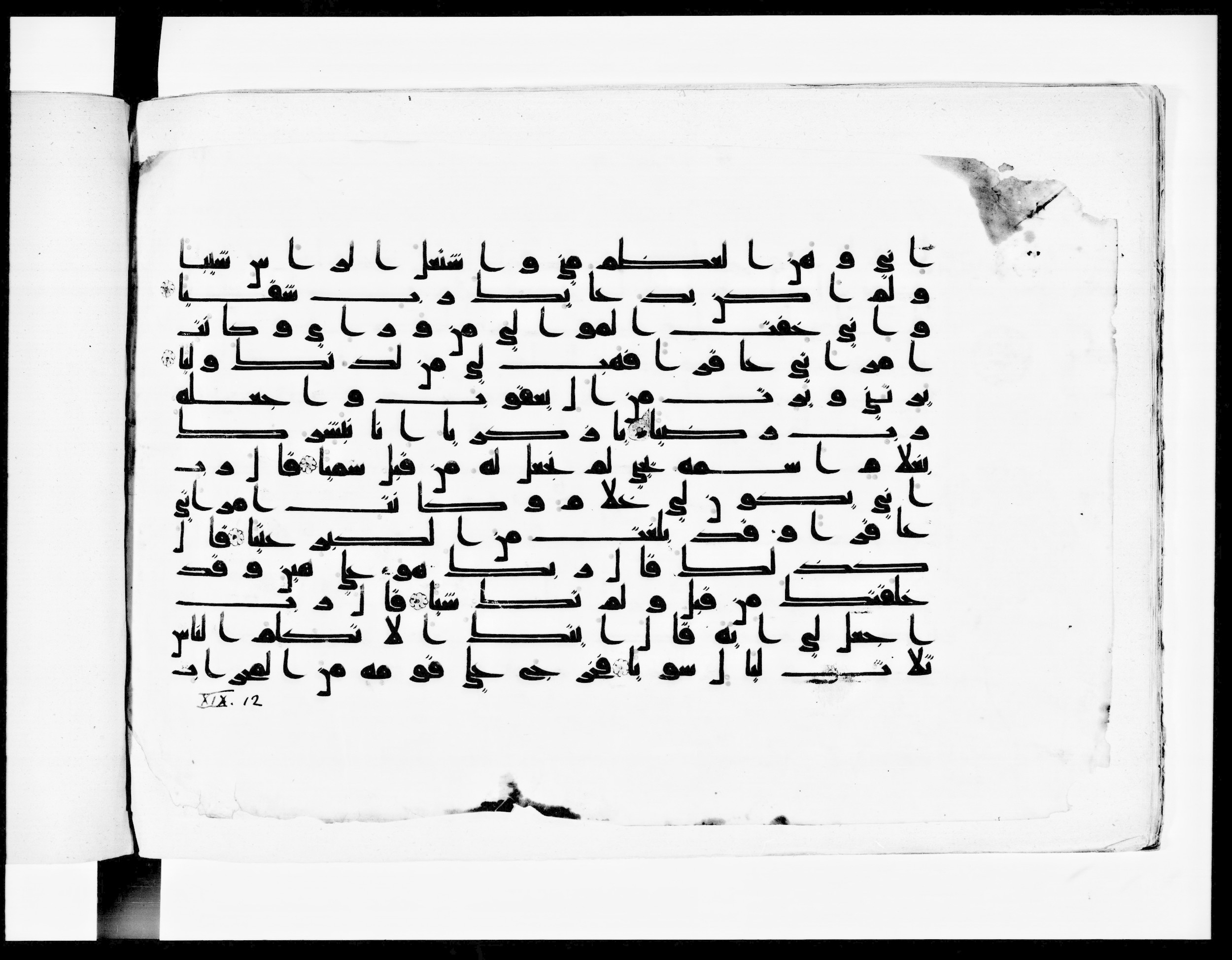 Paris, Bibliothèque nationale de France, Arabe 334 (k) (Scan 1), in Kūfī D.I script, showing Surah 19:7 from Mid 8th to Late 9th Century AD found in Fustat (Old Cairo), Egypt, currently housed at Bibliothèque nationale de France, Paris