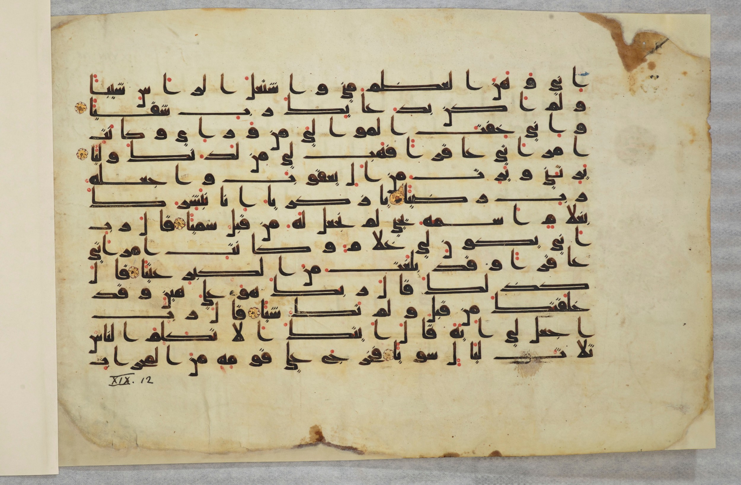 Paris, Bibliothèque nationale de France, Arabe 334 (k) (Scan 2), in Kūfī D.I script, showing Surah 19:7 from Mid 8th to Late 9th Century AD found in Fustat (Old Cairo), Egypt, currently housed at Bibliothèque nationale de France, Paris